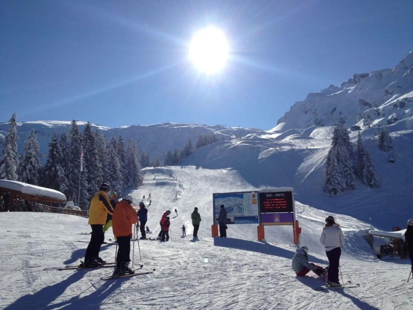 Building Land Pizol - View, Peace and Nature / 657m² - Photo 3 of 9