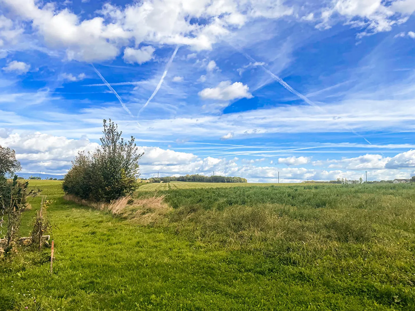 4,5-Zimmer-Wohnung - Foto 1 von 3