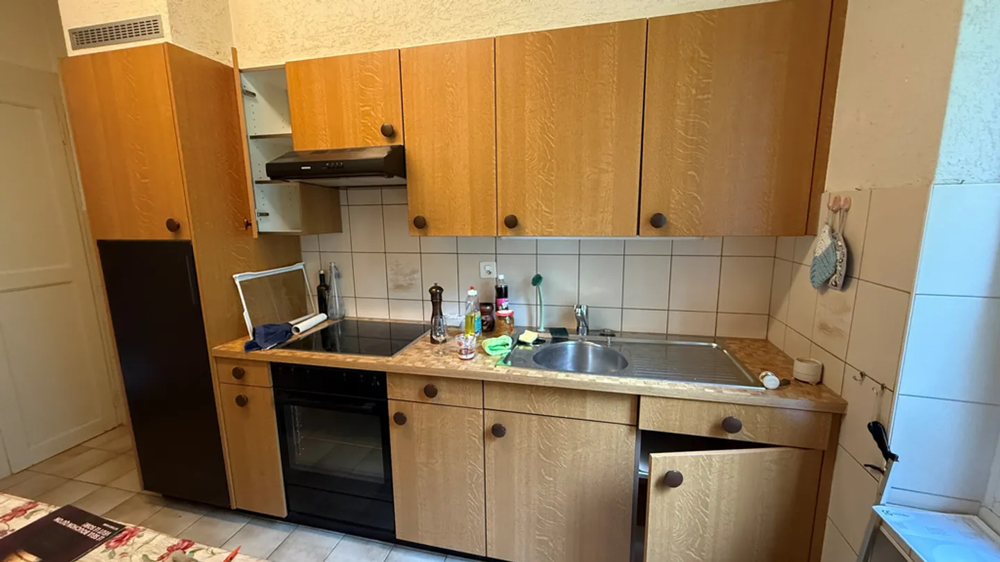 Appartamento unico 5.5 locali - Foto 5 di 6