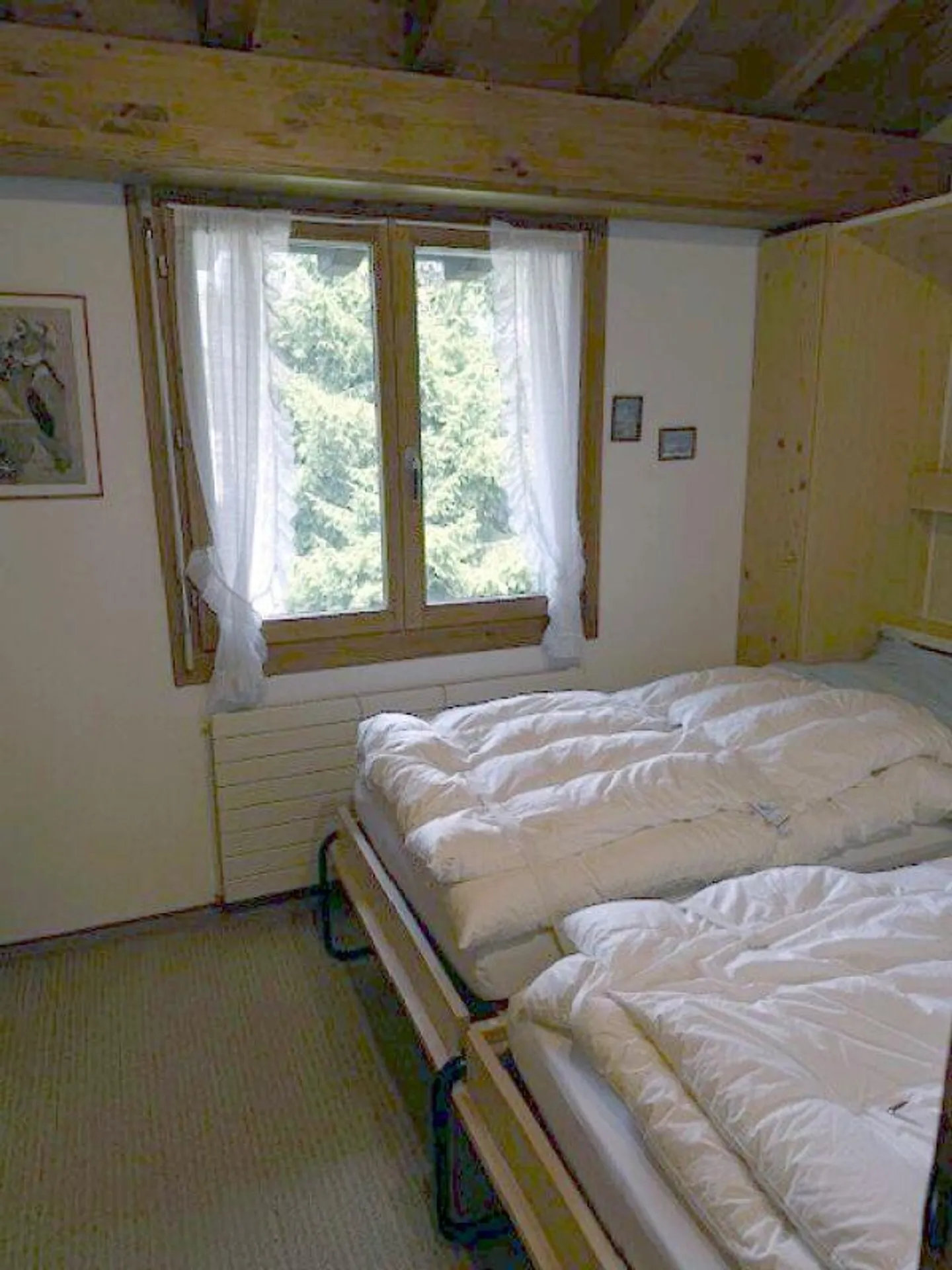 Sonnige 5.5 Zimmerwohnung an ruhiger Lage - Foto 8 di 15