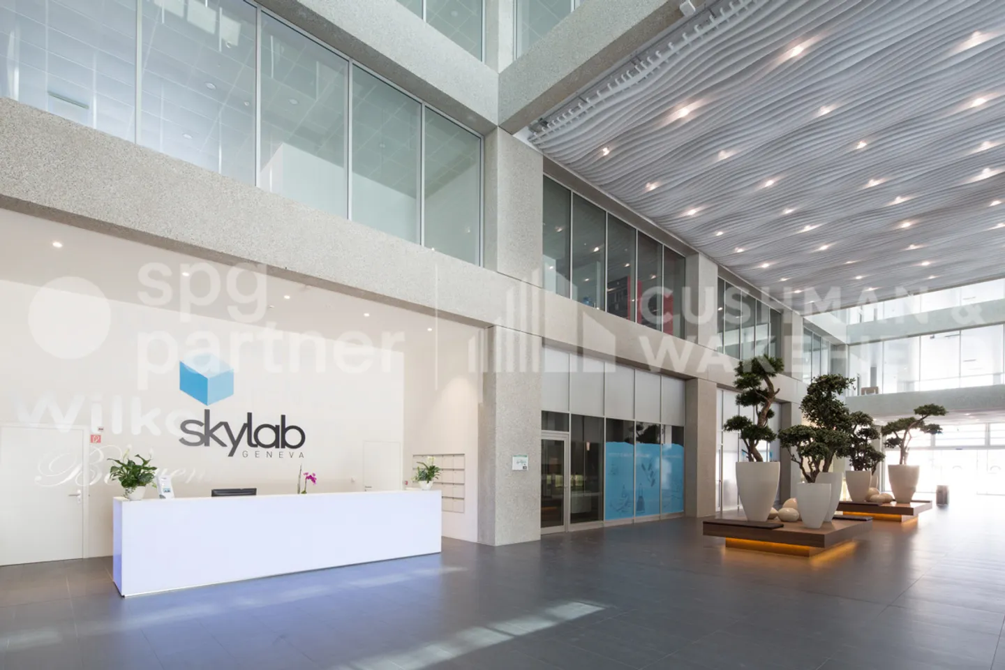 SKYLAB - Locaux aménagés clés en main au c?ur de Plan-les-Ouates - Photo 4 sur 7