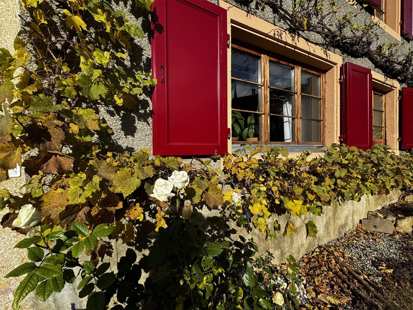 8 Room Single Family House - Photo 1 of 29