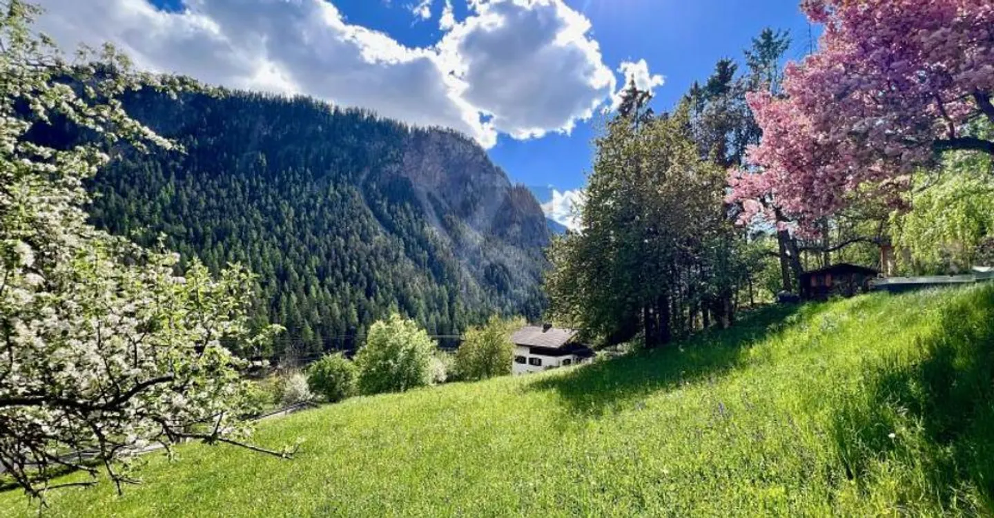 AN EINMALIGER UND SONNIGER LAGE MIT BAULANDRESERVE - Foto 1 von 4
