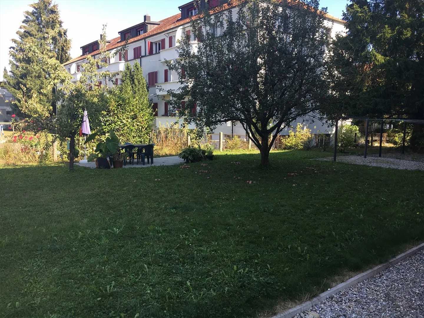 Elegante appartamento attico di 3,5 stanze con terrazza sul tetto - Foto 25 di 25