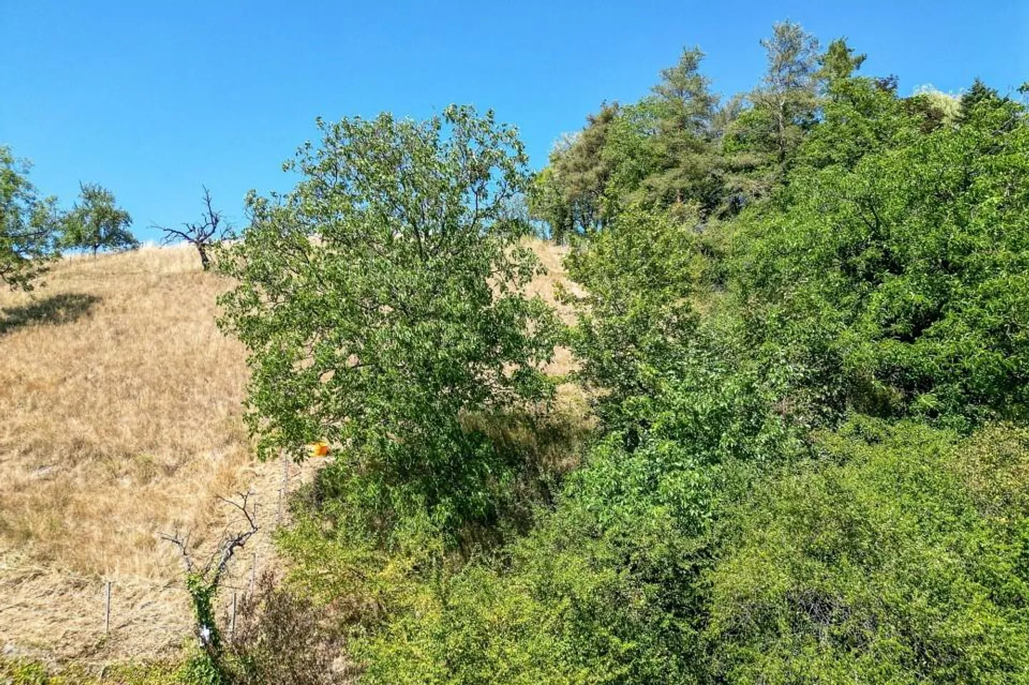 Affascinante casa unifamiliare ristrutturata di 4,5 locali con estensione... - Foto 13 di 13