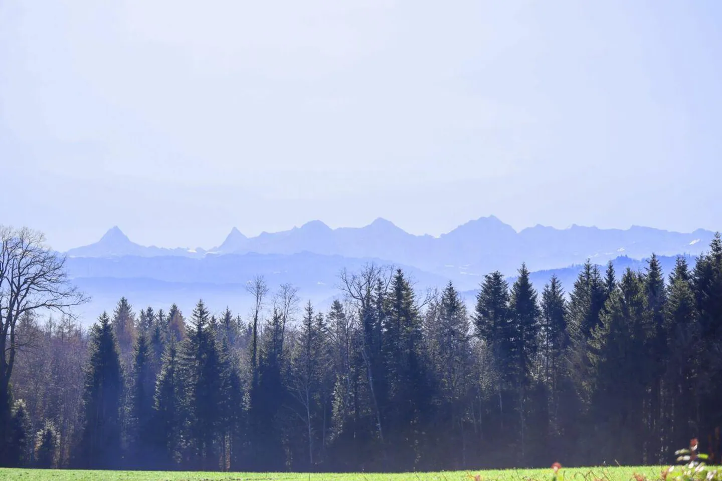 7.5-room single-family house with stunning views - Photo 15 of 15