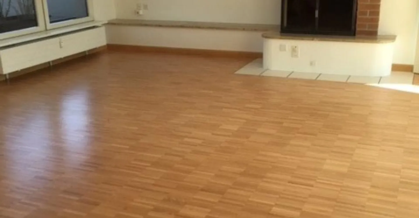4.5 Room Penthouse Apartment in the Center of Basel - Photo 2 of 11