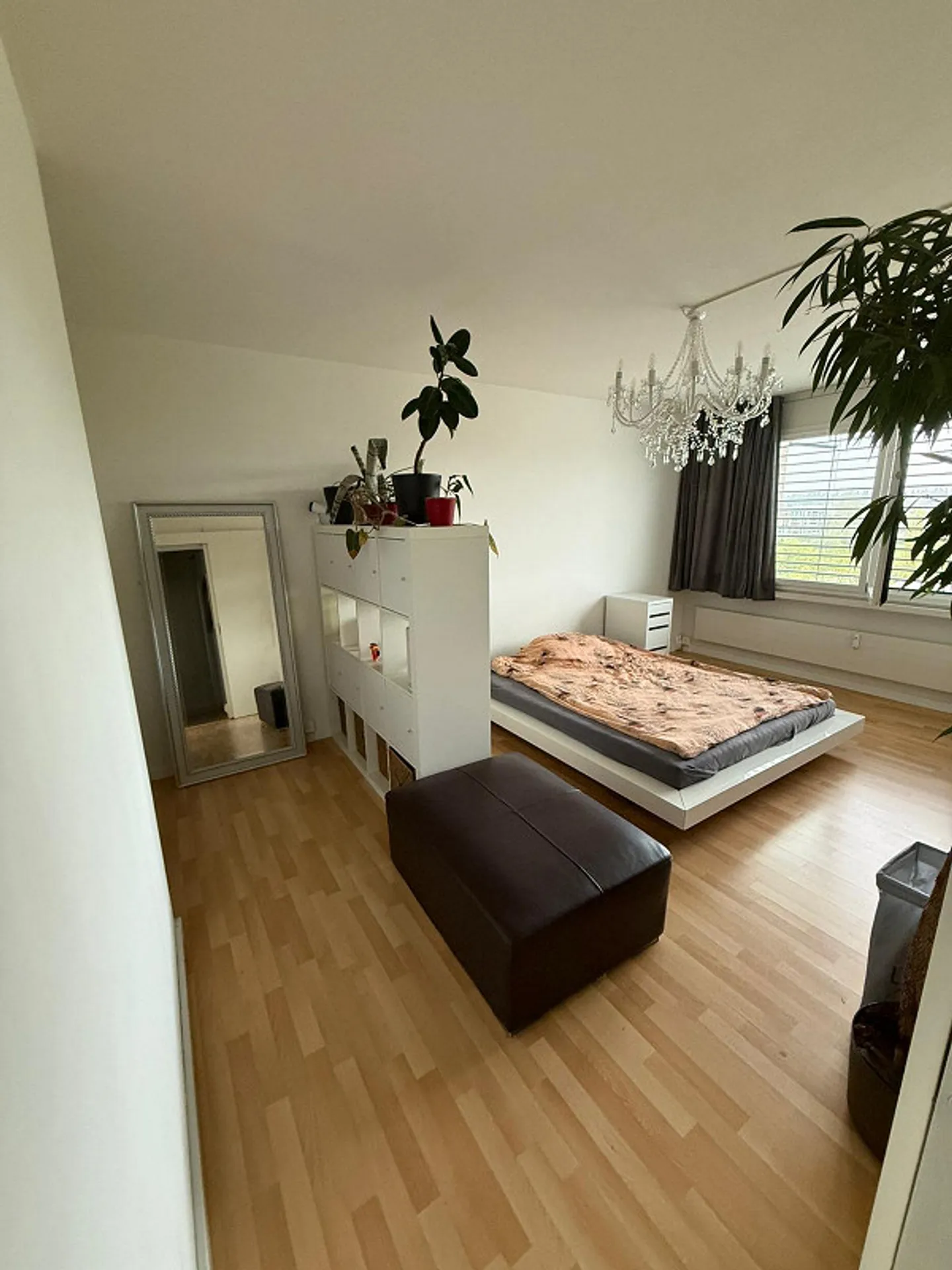 2 Rooms in Large Apartment in Cham - Photo 2 of 5