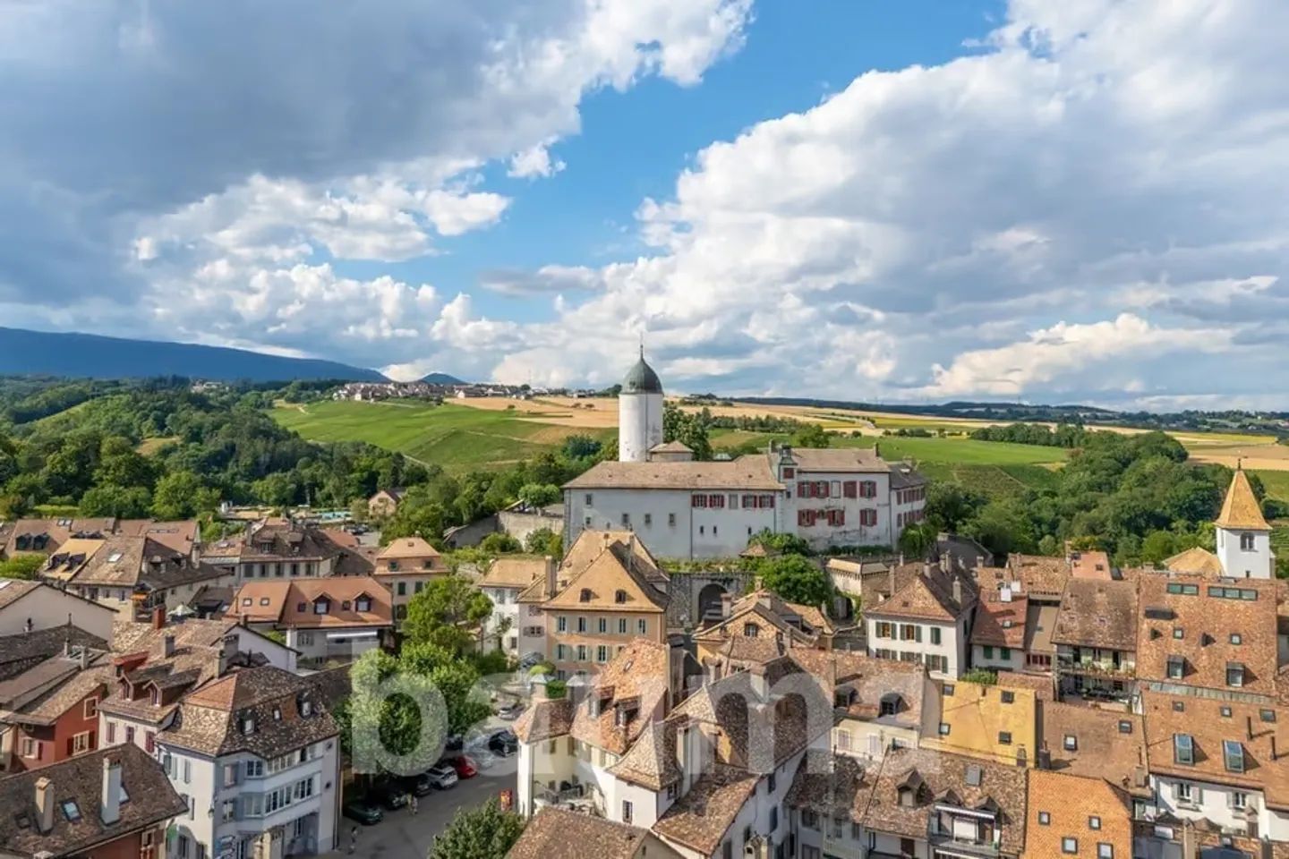 Majestueuse maison de caractère de 10 pièces à Aubonne - Photo 2 sur 13