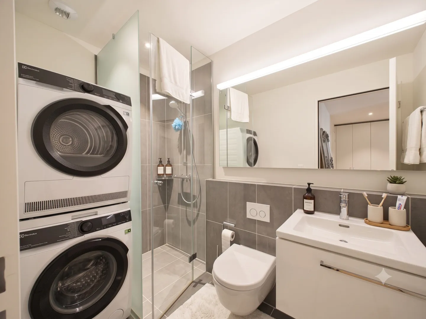 Espace compact près des chutes du Rhin : cuisine presque neuve, salle de bain attenante, tour de lavage et gare à 50 m - Photo 7 sur 10