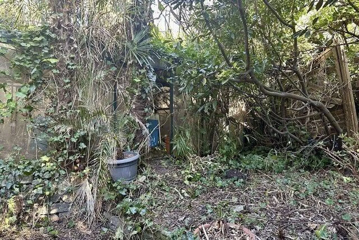 Trois parties de maison avec grand jardin - Photo 37 sur 49