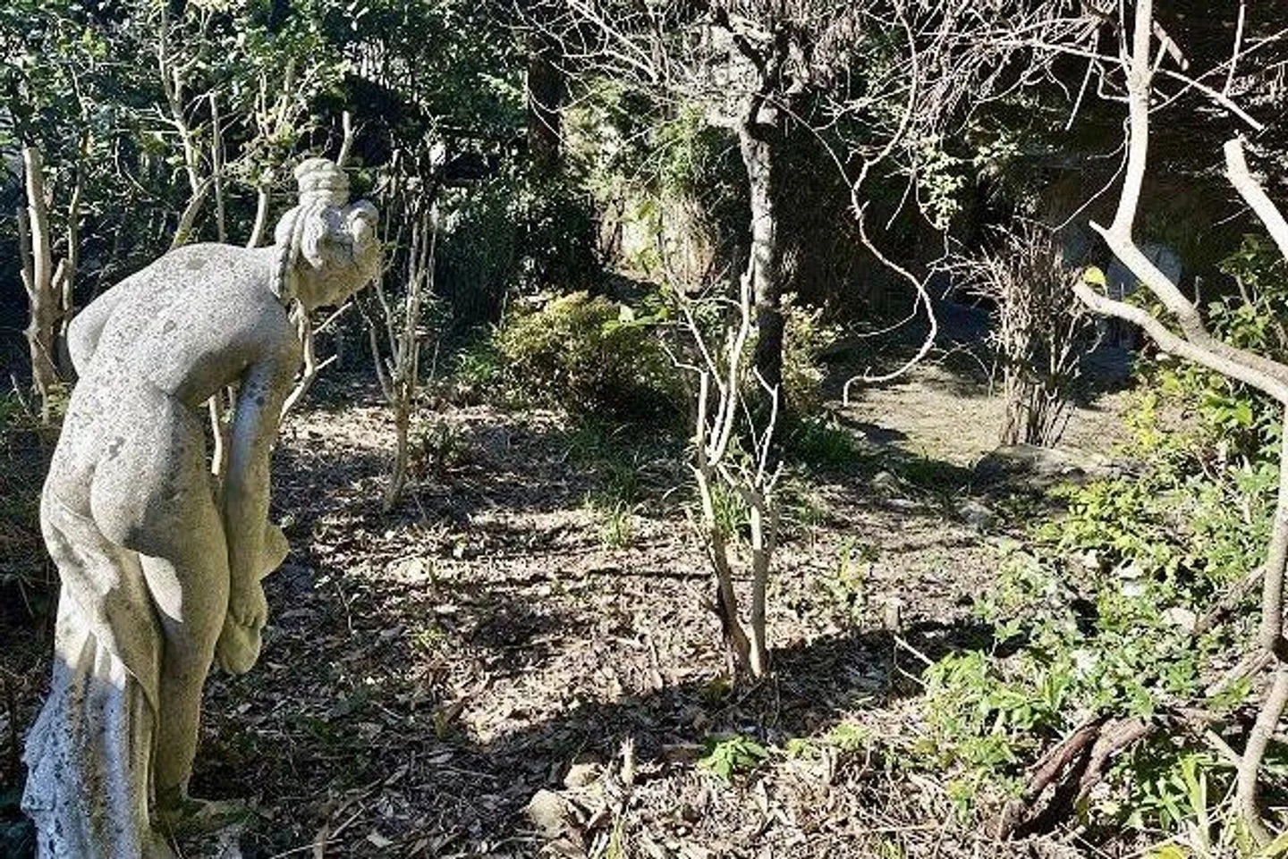 Trois parties de maison avec grand jardin - Photo 38 sur 49