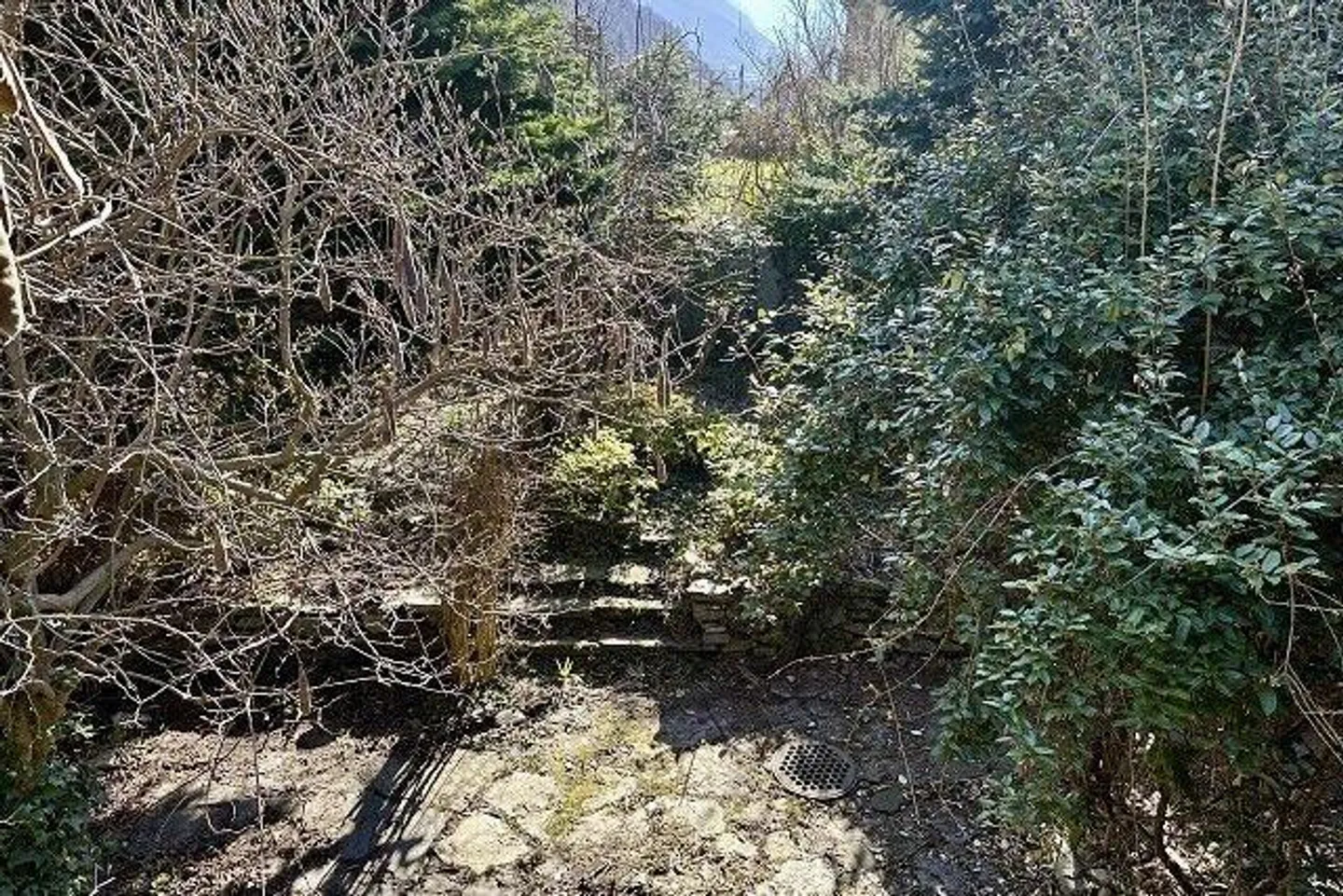 Trois parties de maison avec grand jardin - Photo 42 sur 49