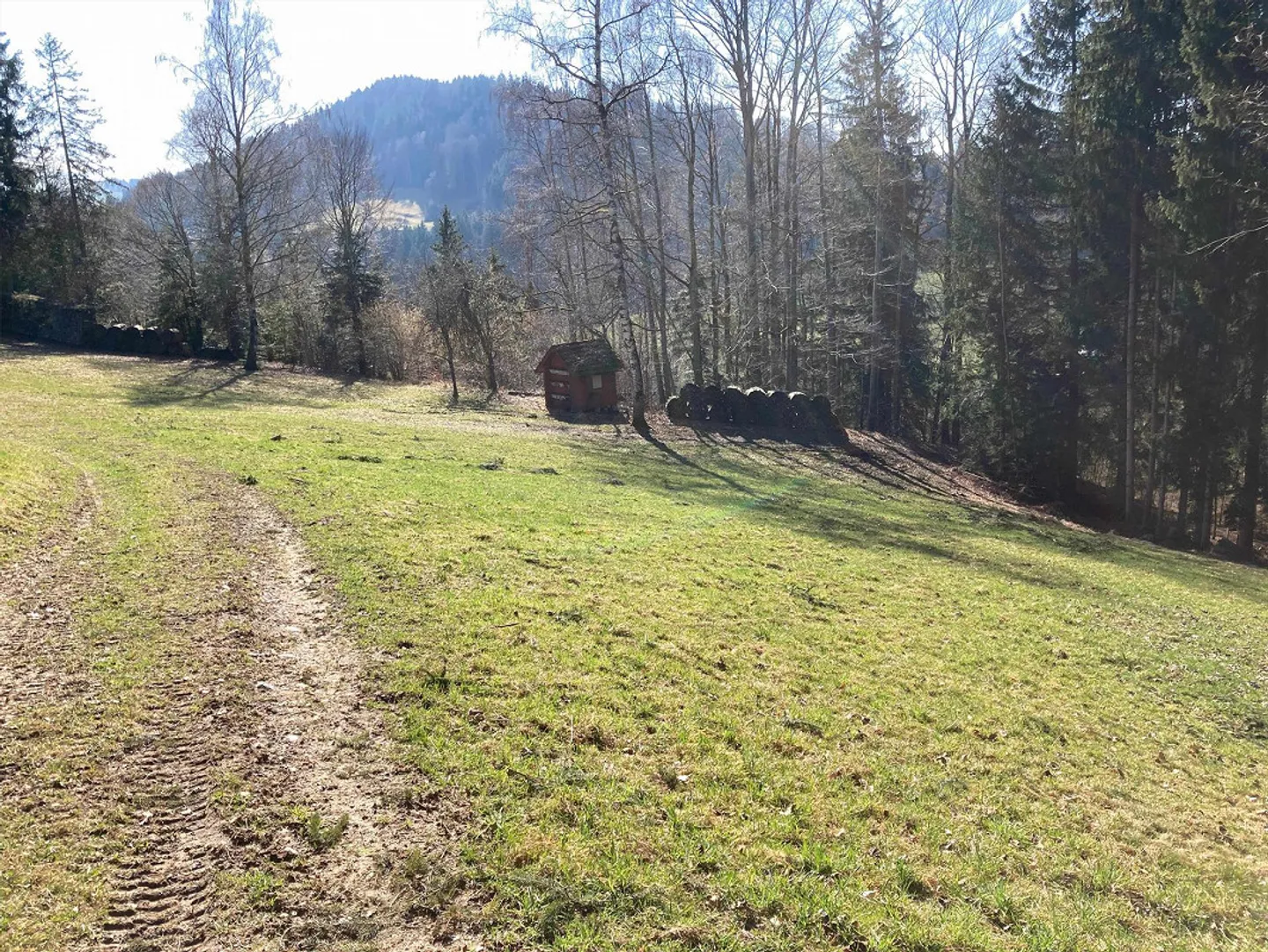 Foresta con Casa delle Api - Foto 2 di 3