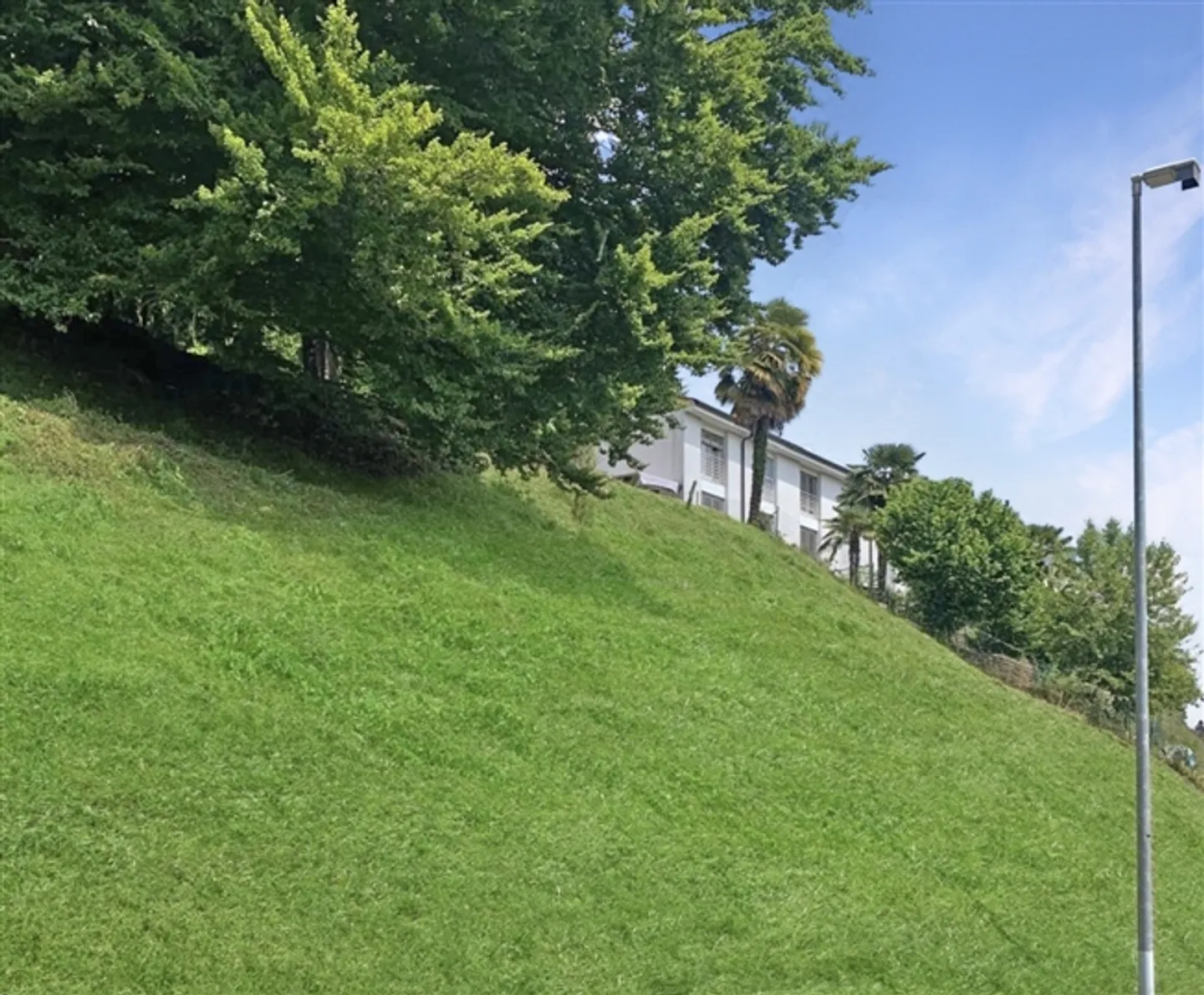 Terreno edificabile in una zona residenziale tranquilla per prima abitazione - Foto 4 di 6