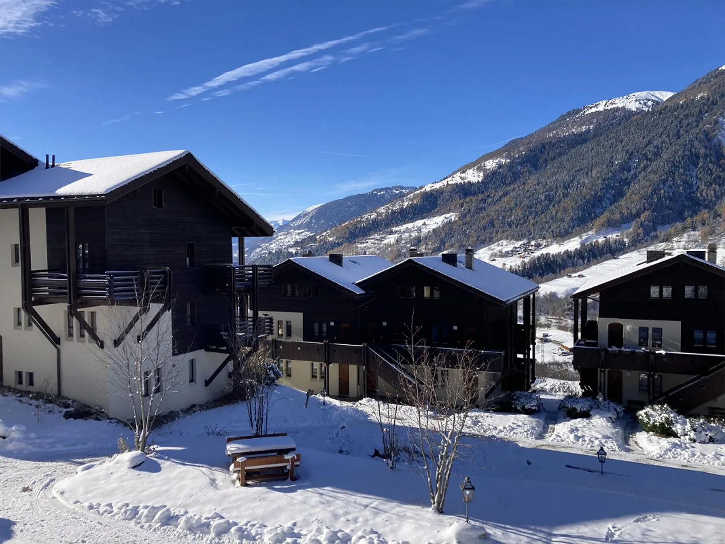 Bright corner apartment with southwest balcony - Photo 3 of 14