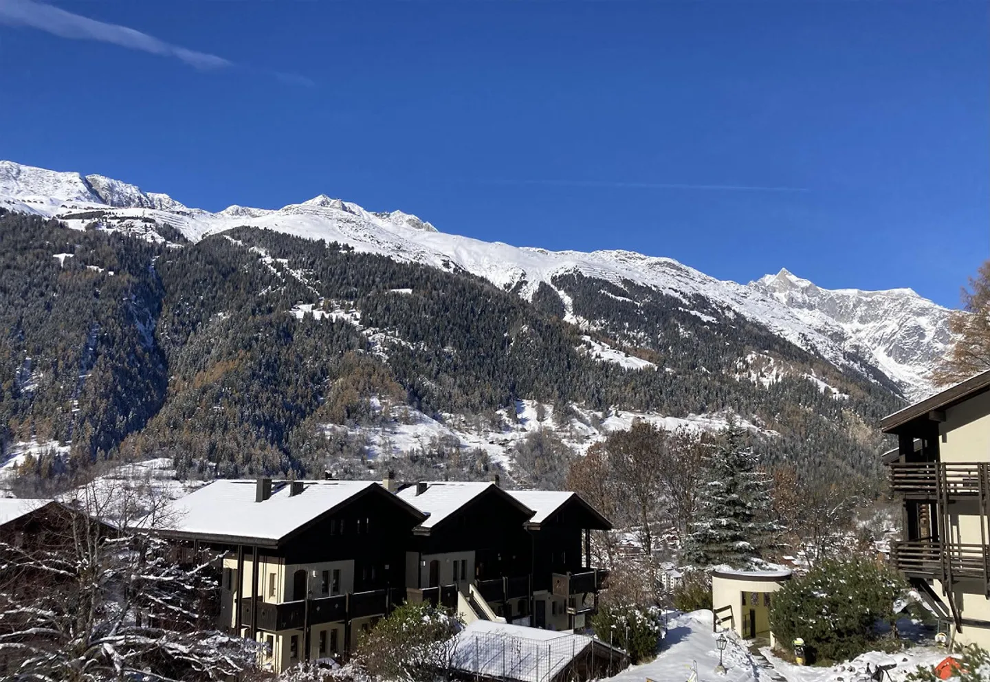 Bright corner apartment with southwest balcony - Photo 5 of 14