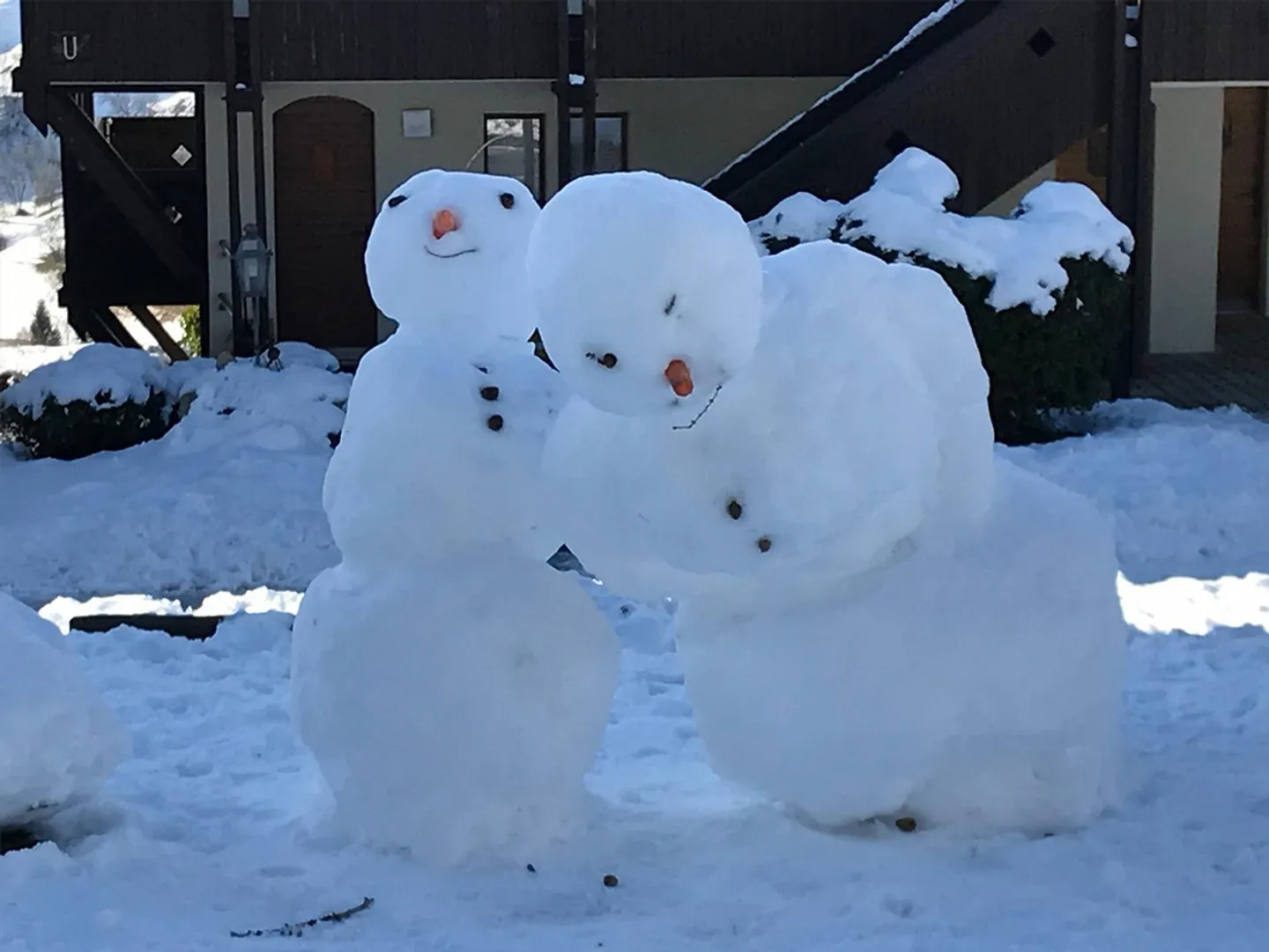 Bright corner apartment with southwest balcony - Photo 13 of 14