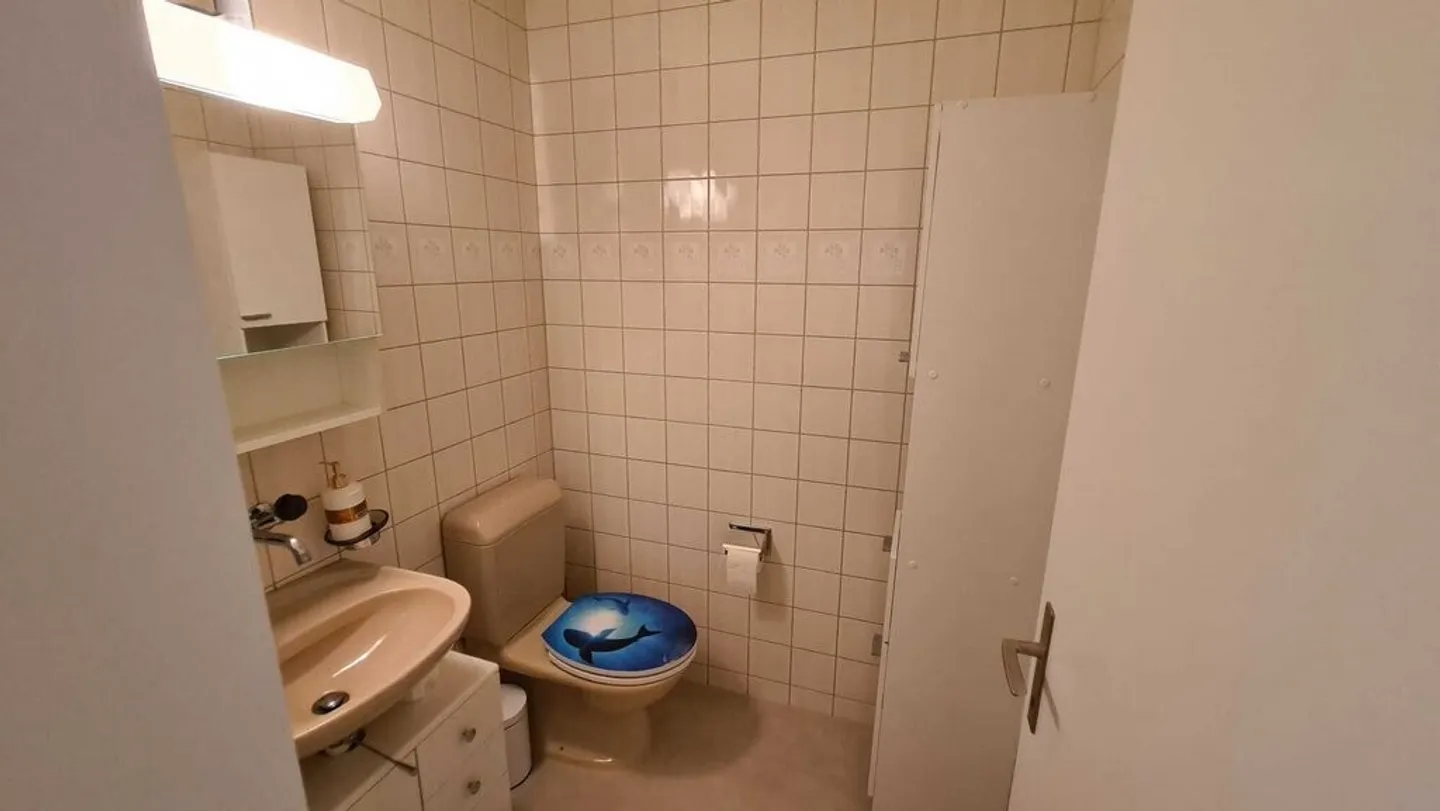Grosszügige Dachwohnung mit Balkon! - Foto 8 von 9