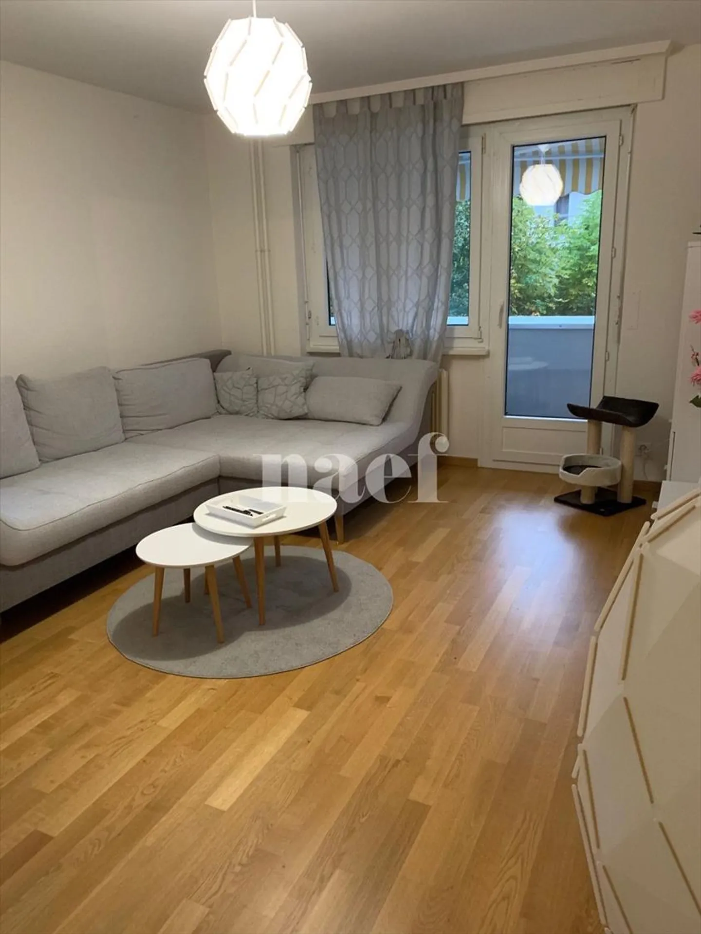 Appartamento 3 locali - Foto 1 di 5