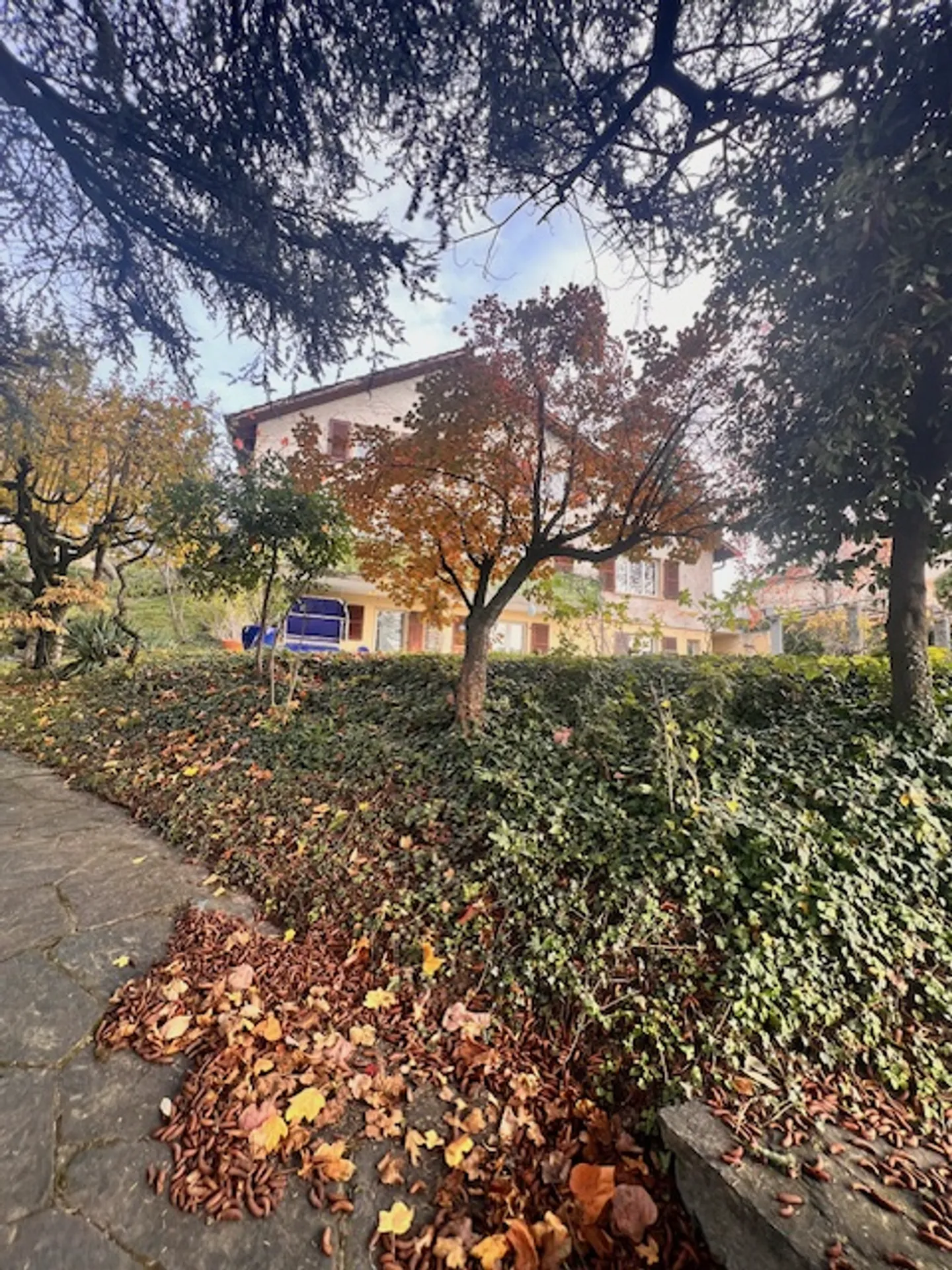 Proprietà in vitalizio a Pully con una bellissima vista sul lago e sulle montagne - Foto 3 di 13