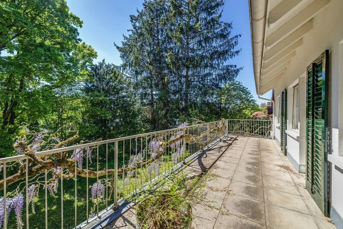 Incantevole casa familiare a Therwil - Foto 6 di 11