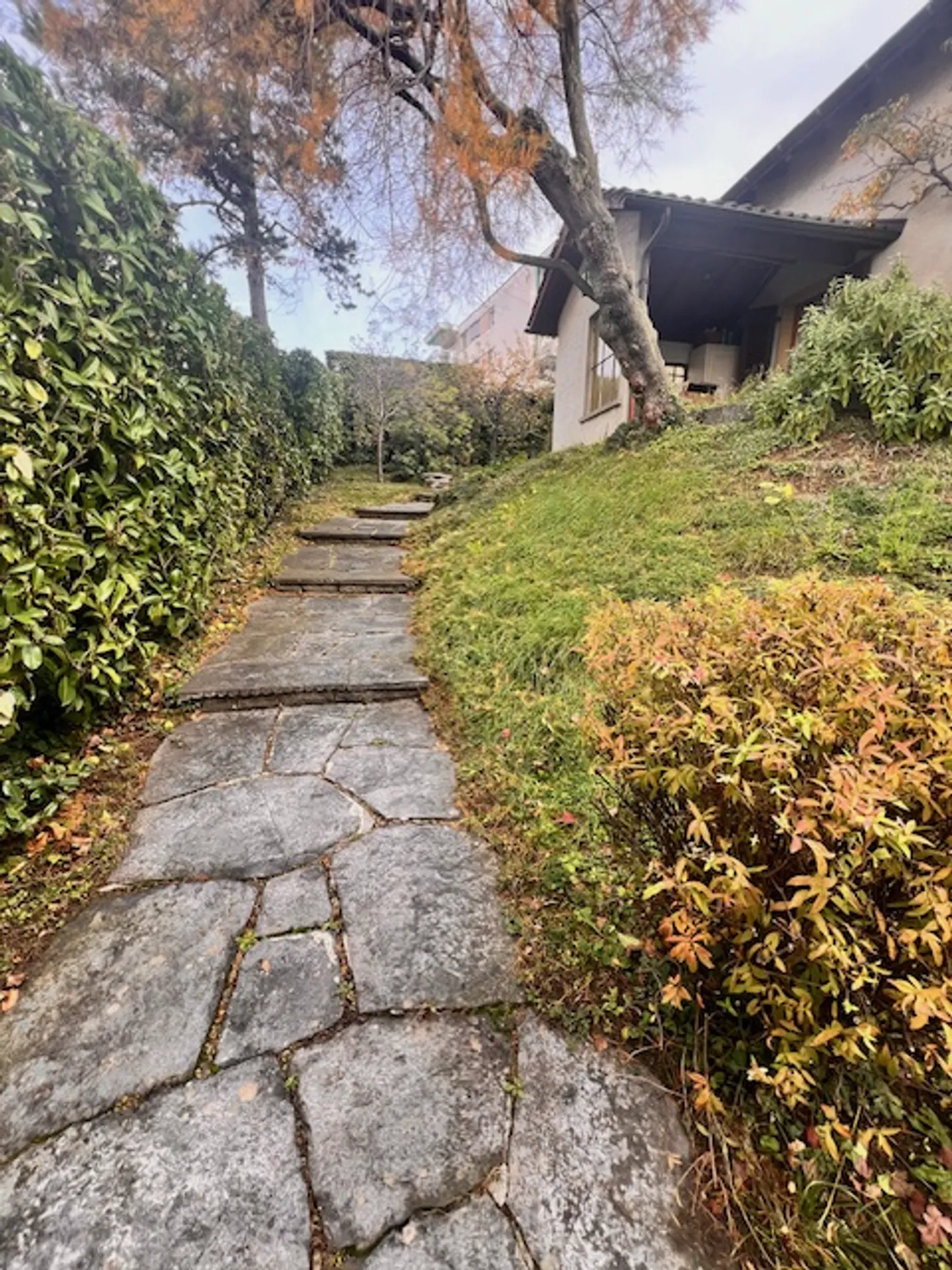 Proprietà in vitalizio a Pully con una bellissima vista sul lago e sulle montagne - Foto 6 di 13