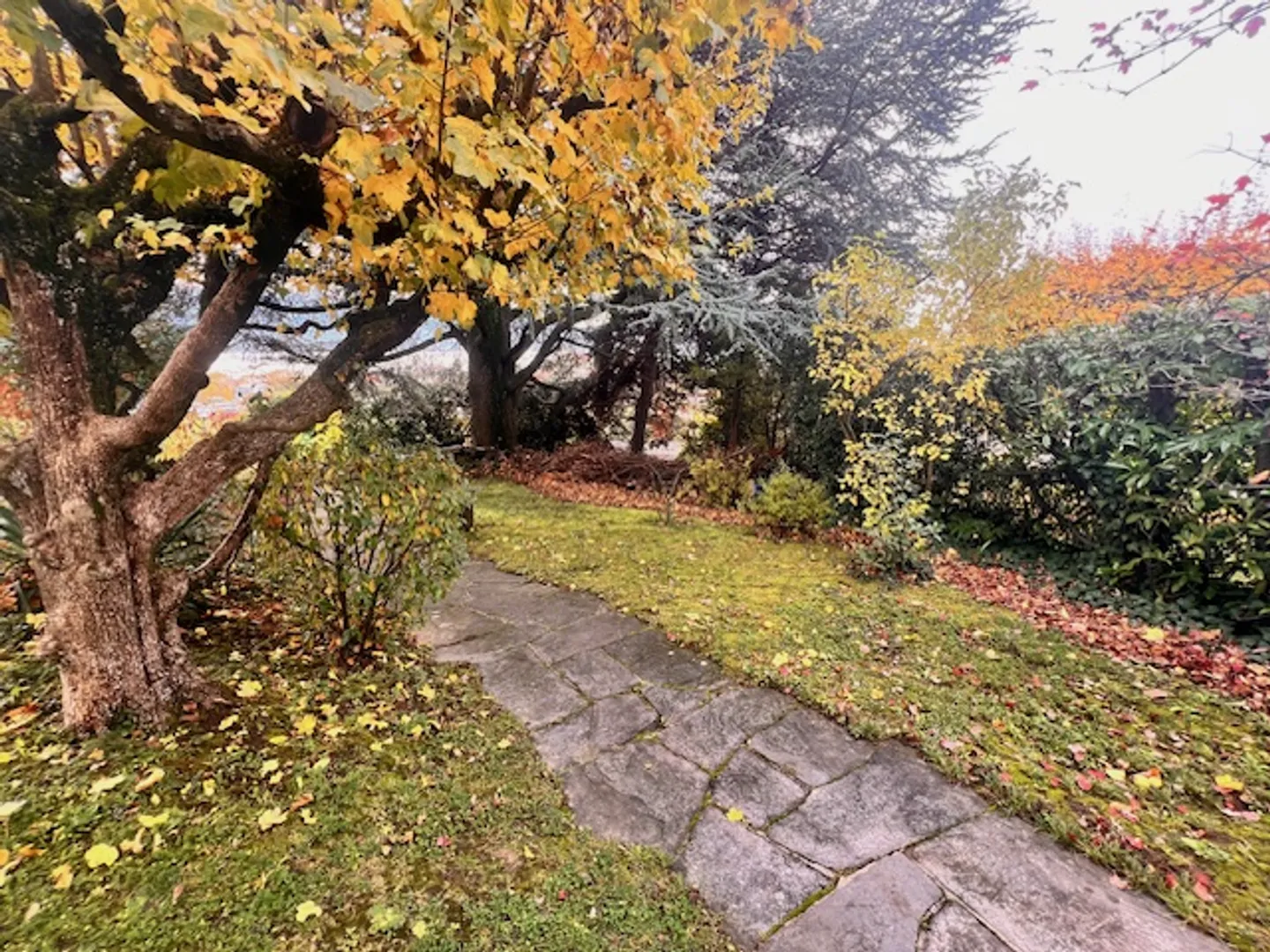 Proprietà in vitalizio a Pully con una bellissima vista sul lago e sulle montagne - Foto 10 di 13