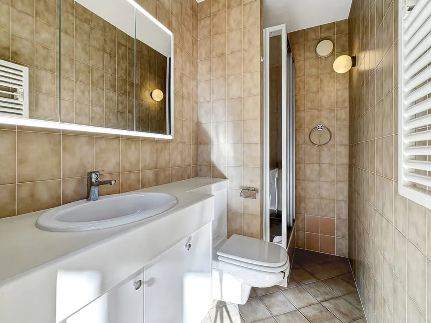 SPACIOUS AND BRIGHT APARTMENT IN THE HEART OF VERSOIX - Photo 5 of 10