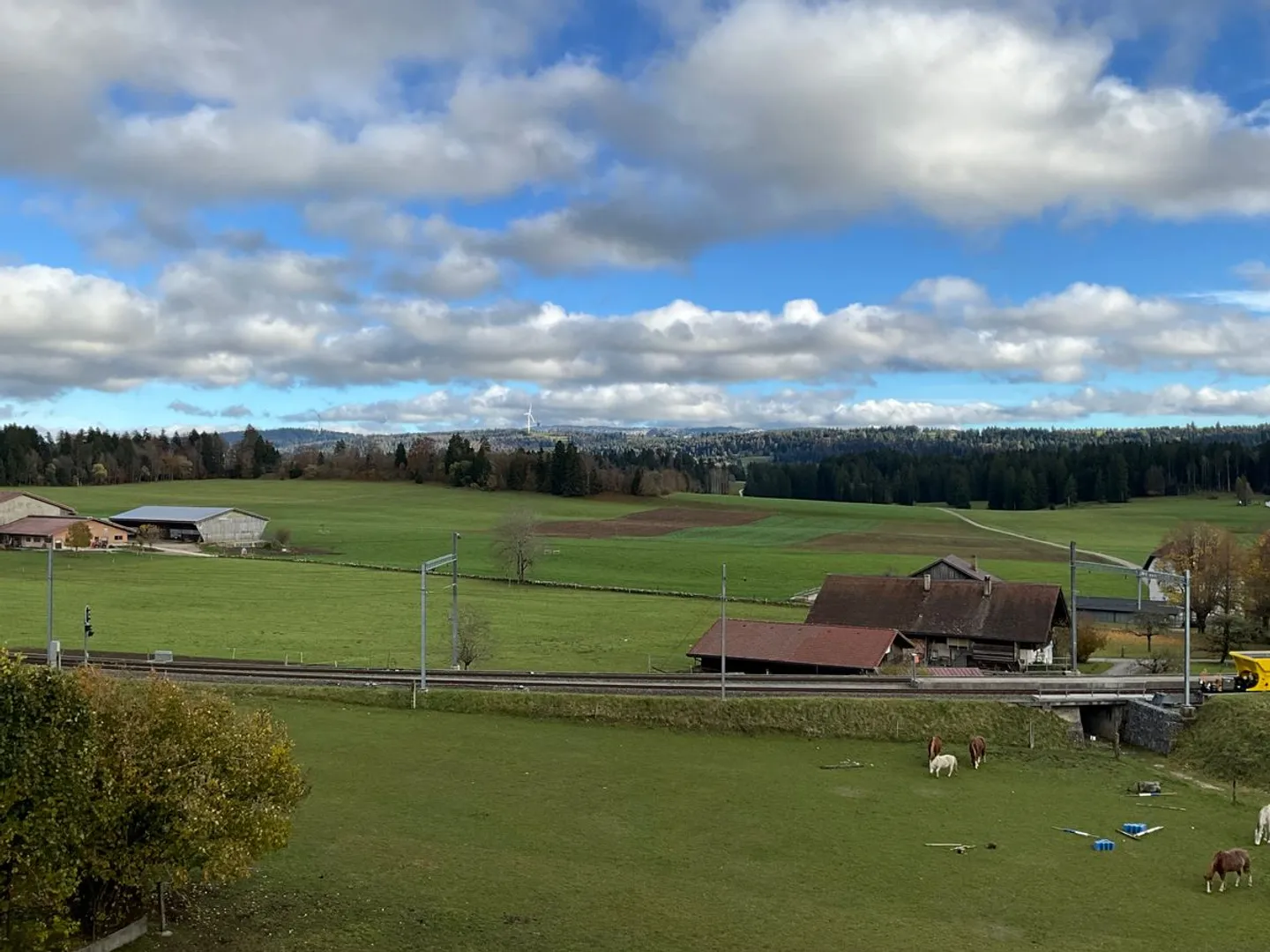 Appartamento accogliente di 3 stanze in affitto - Foto 9 di 9