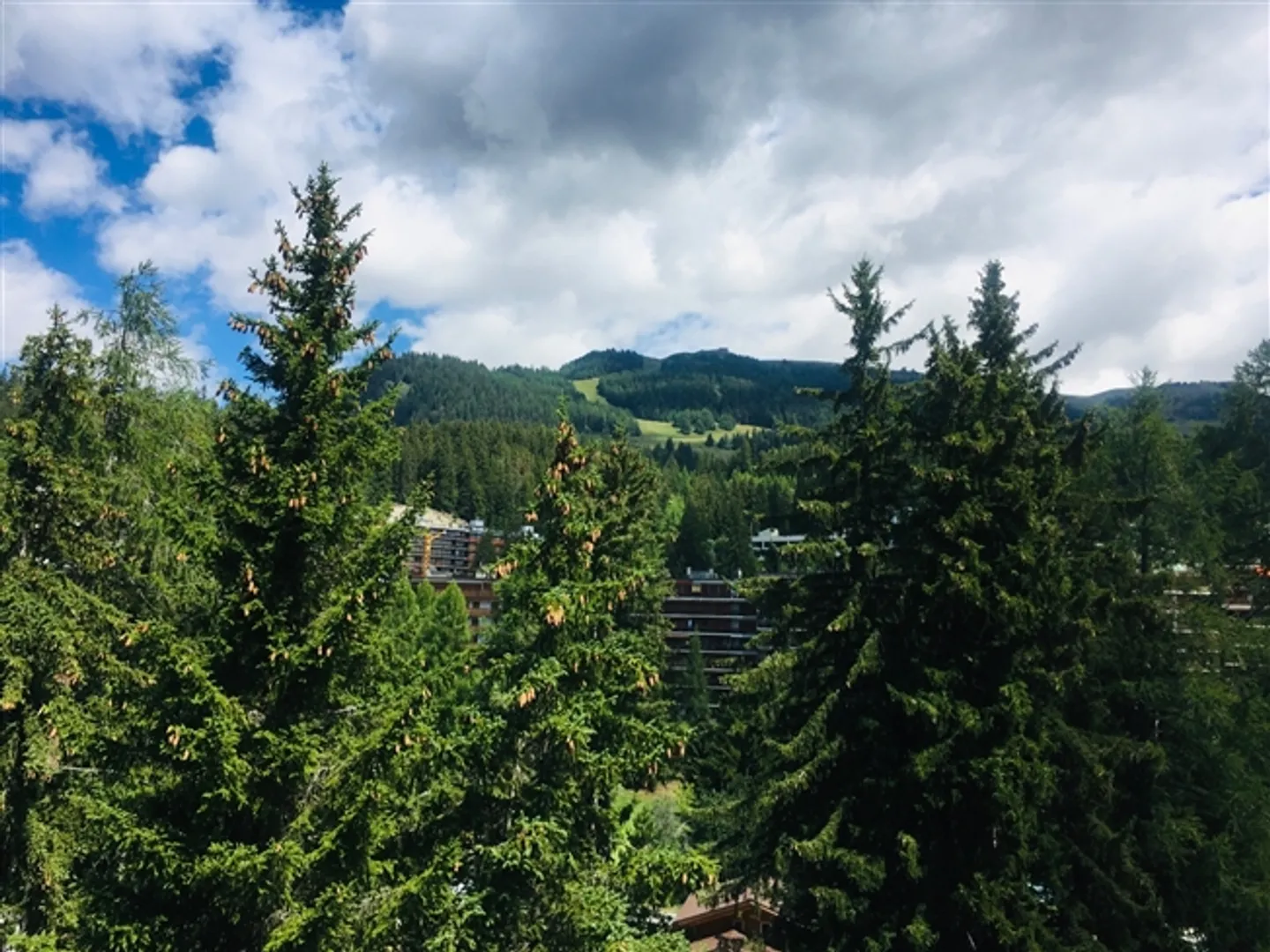 Studio Niveau Jardin - Photo 10 sur 12