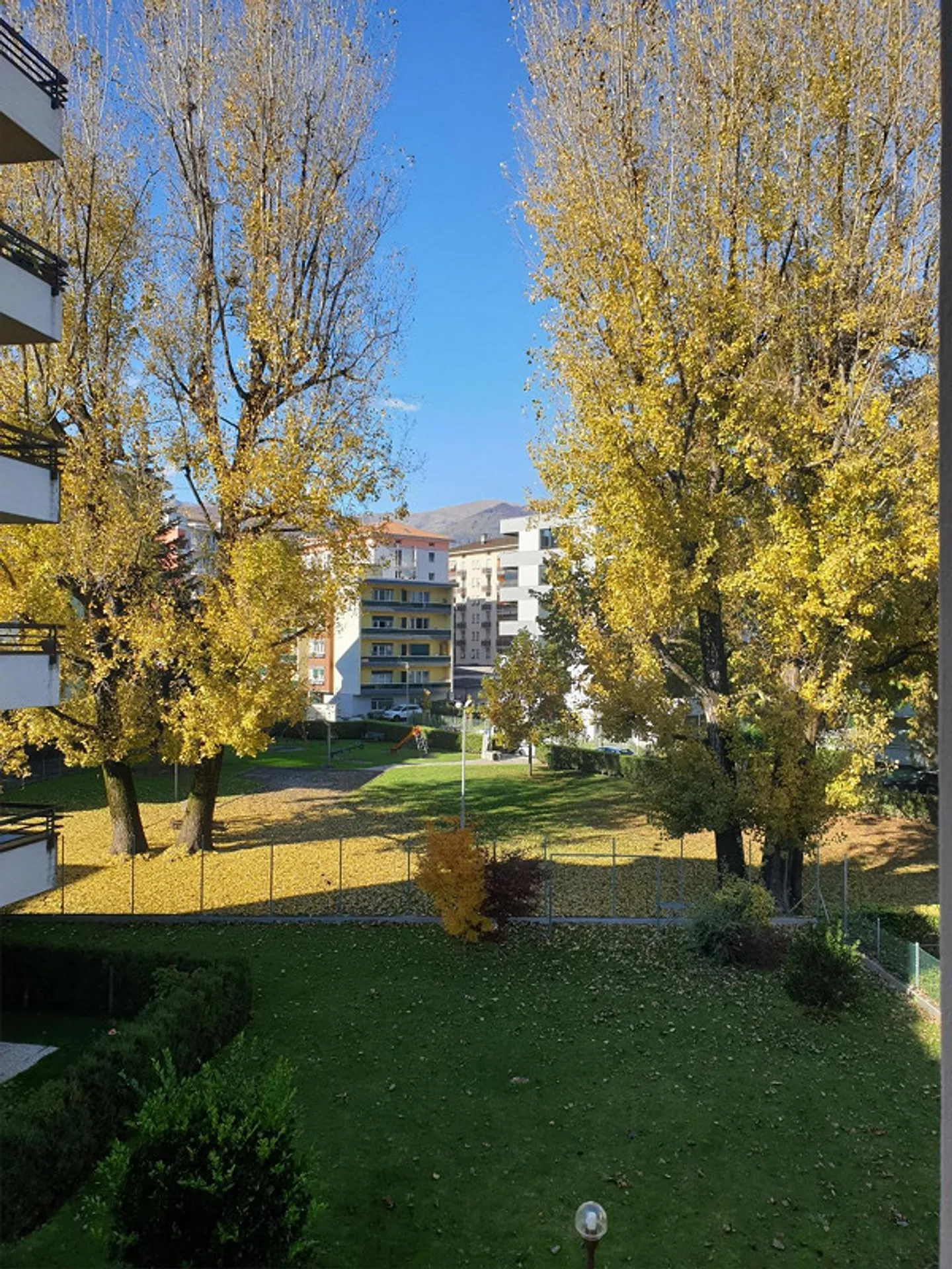 Appartamento luminoso con balcone a Massagno - Foto 2 di 13