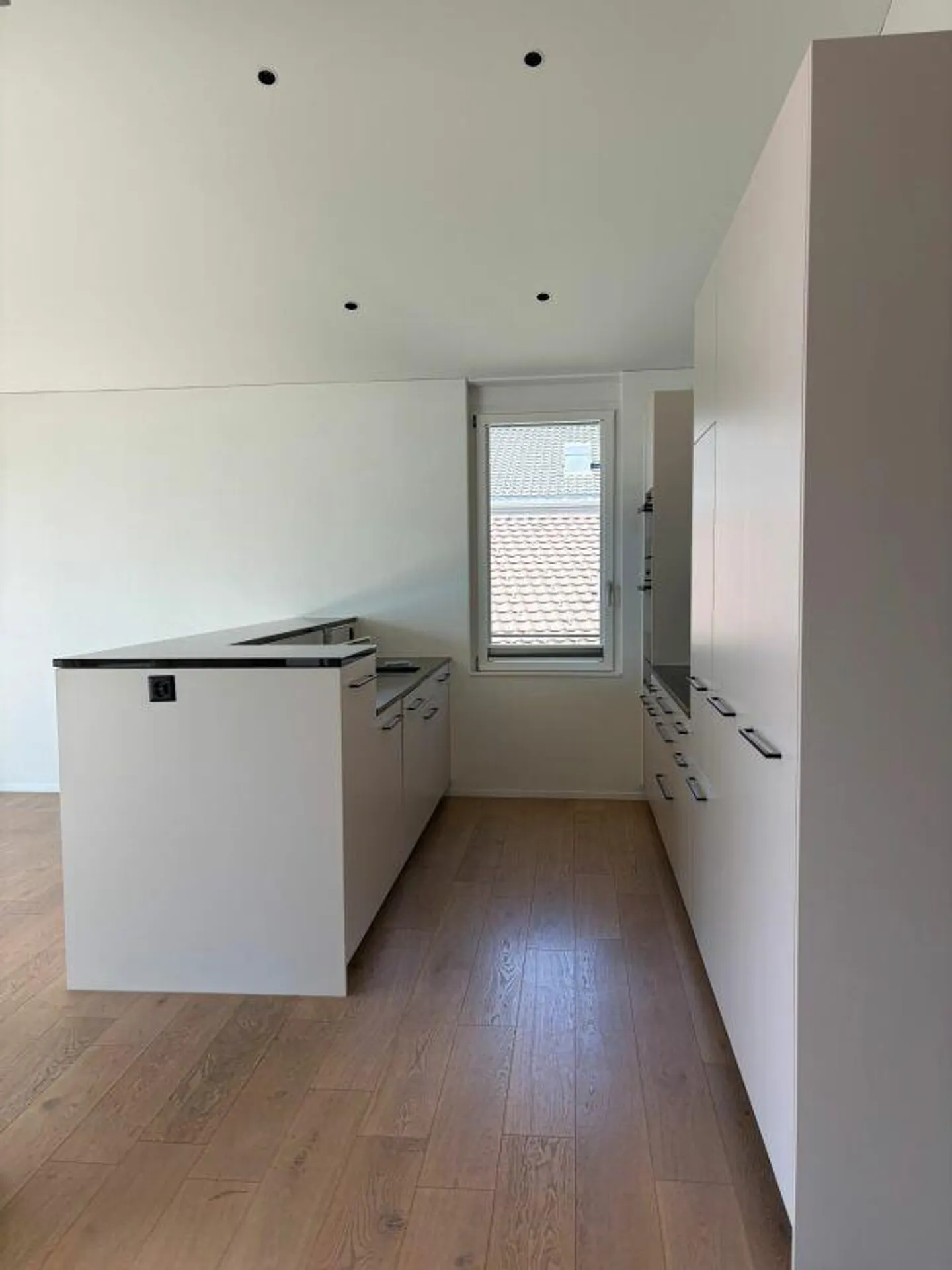 Exclusive penthouse apartment with unique lake and mountain views - Photo 6 of 15