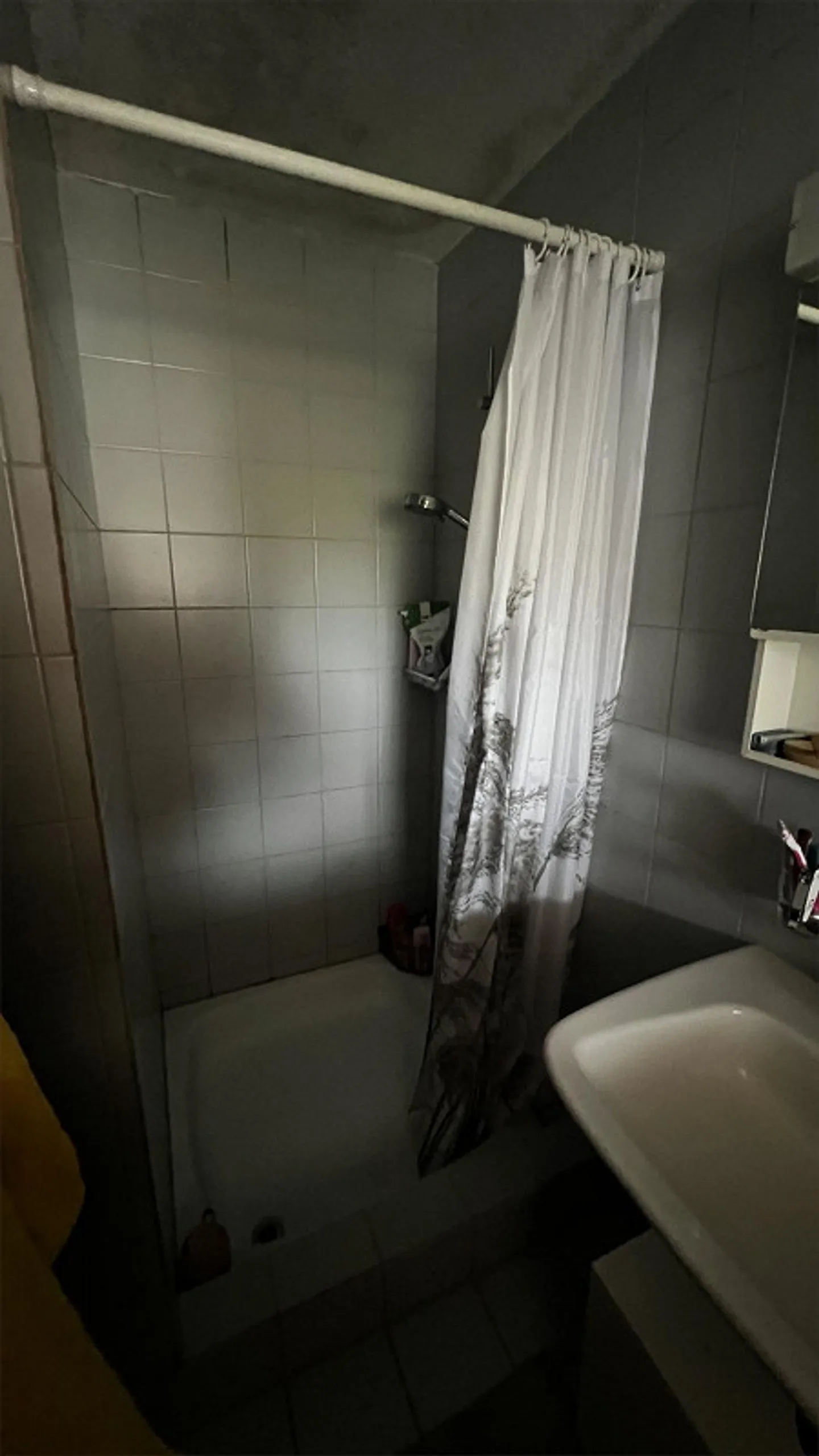 Cercasi nuovo inquilino - Foto 3 di 5