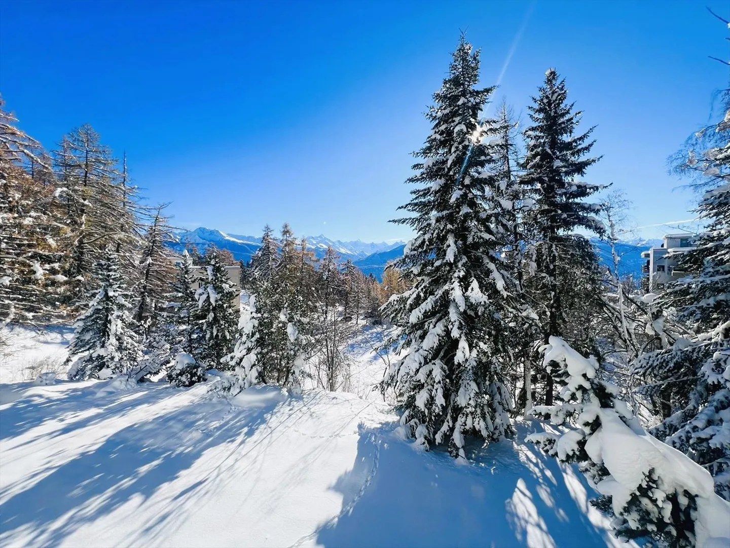 Schönes Studio - Geräumig und hell - Teilweise renoviert - Sehr ruhige Lage - Bi - Foto 11 von 13