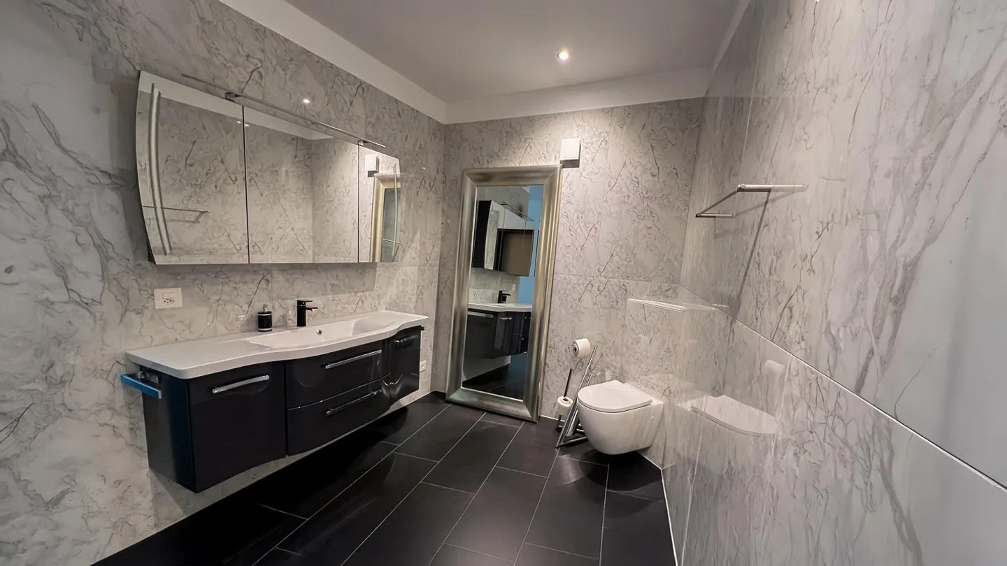 Exclusive Property on the Rhine with Wellness Area, Lift, Granny Flat - Photo 11 of 14