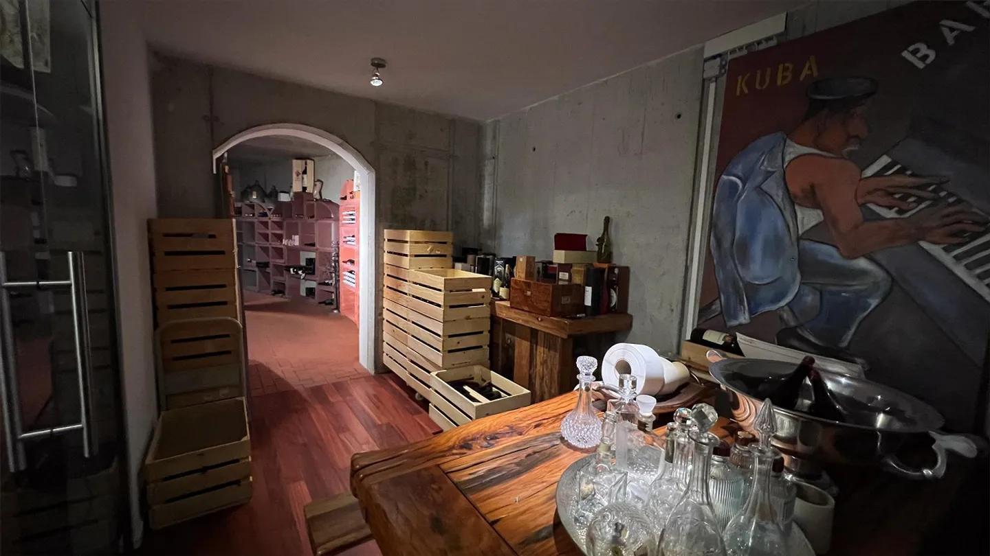 Exclusive Property on the Rhine with Wellness Area, Lift, Granny Flat - Photo 13 of 14