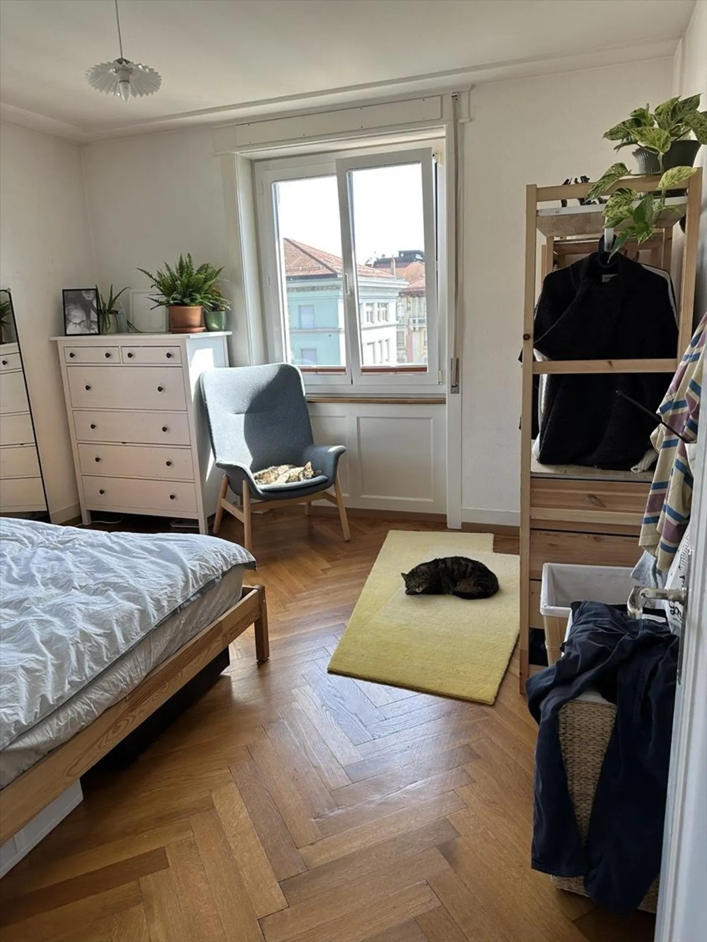 Appartamento 3 locali al 5° piano - Foto 3 di 6