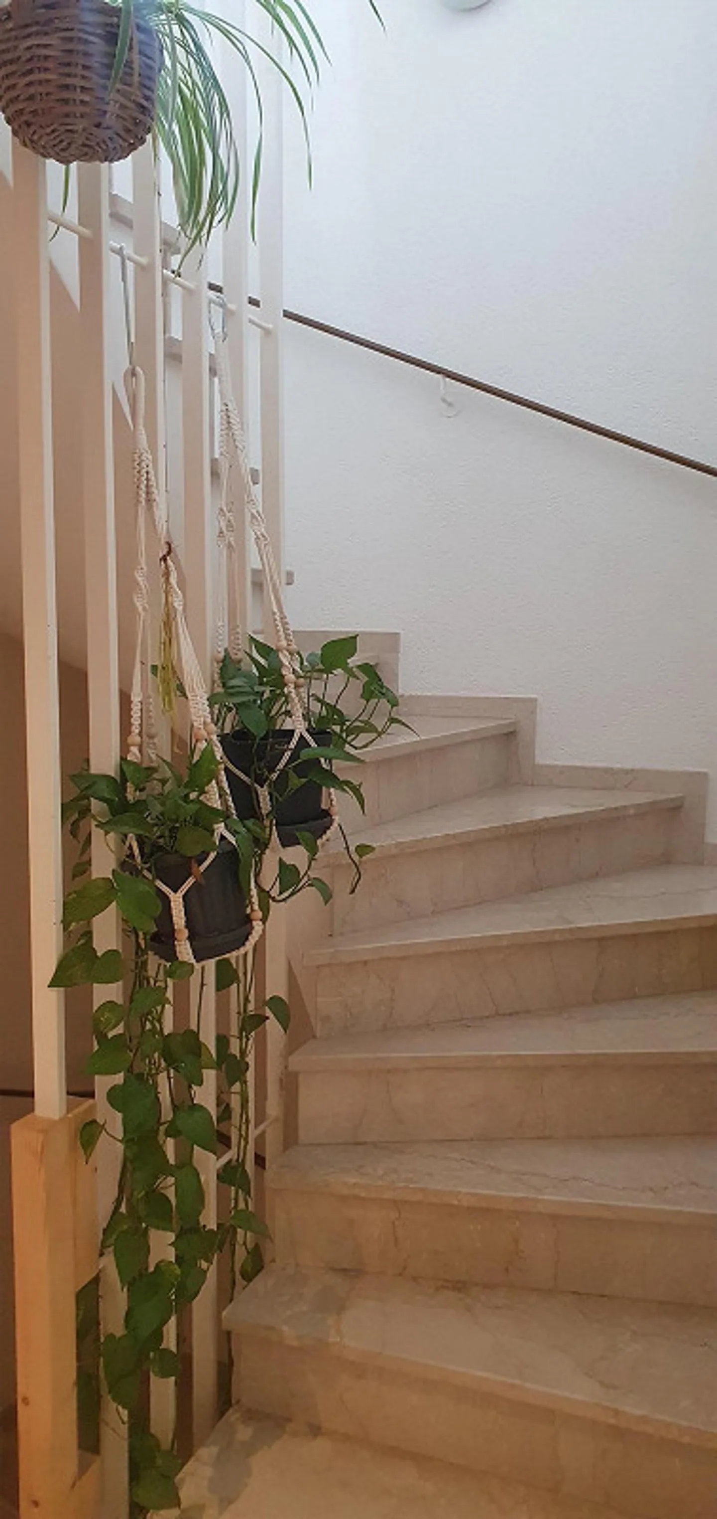 Idyllic 6.5 Room Single Family House with Large Garden in Binningen - Photo 5 of 23