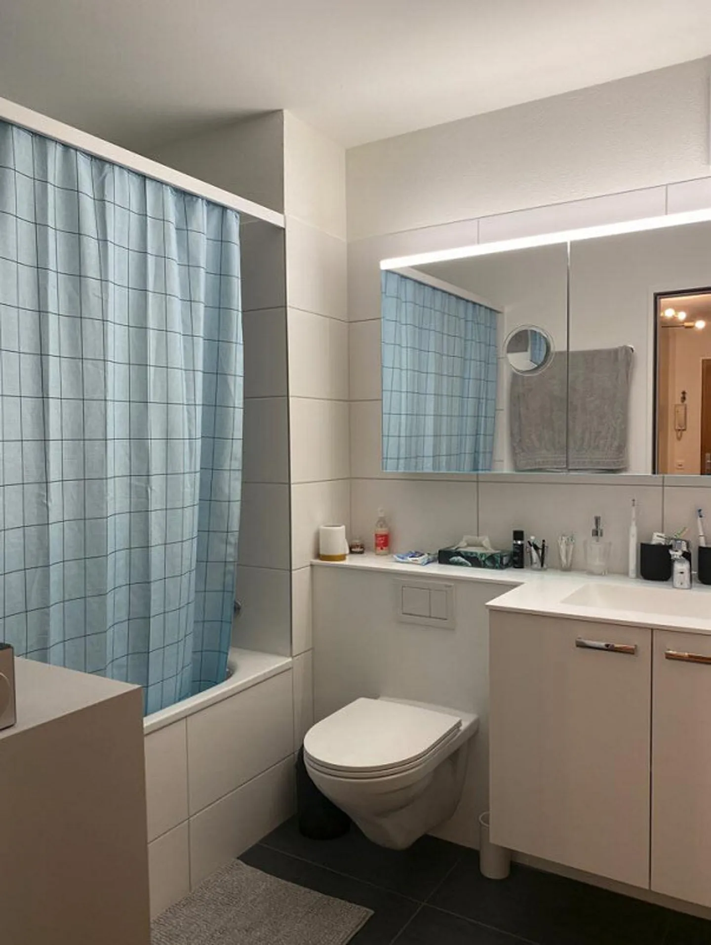 Newly renovated apartment with green views for rent - Photo 4 of 5