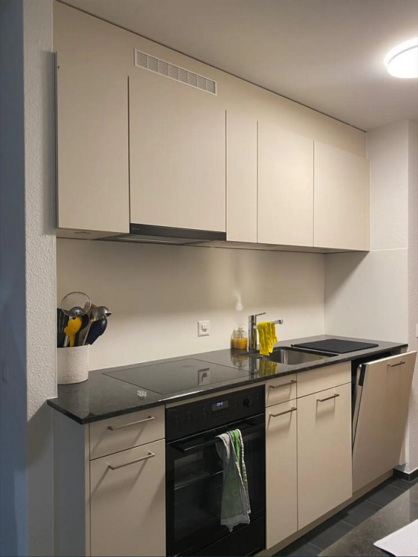 Newly renovated apartment with green views for rent - Photo 2 of 5