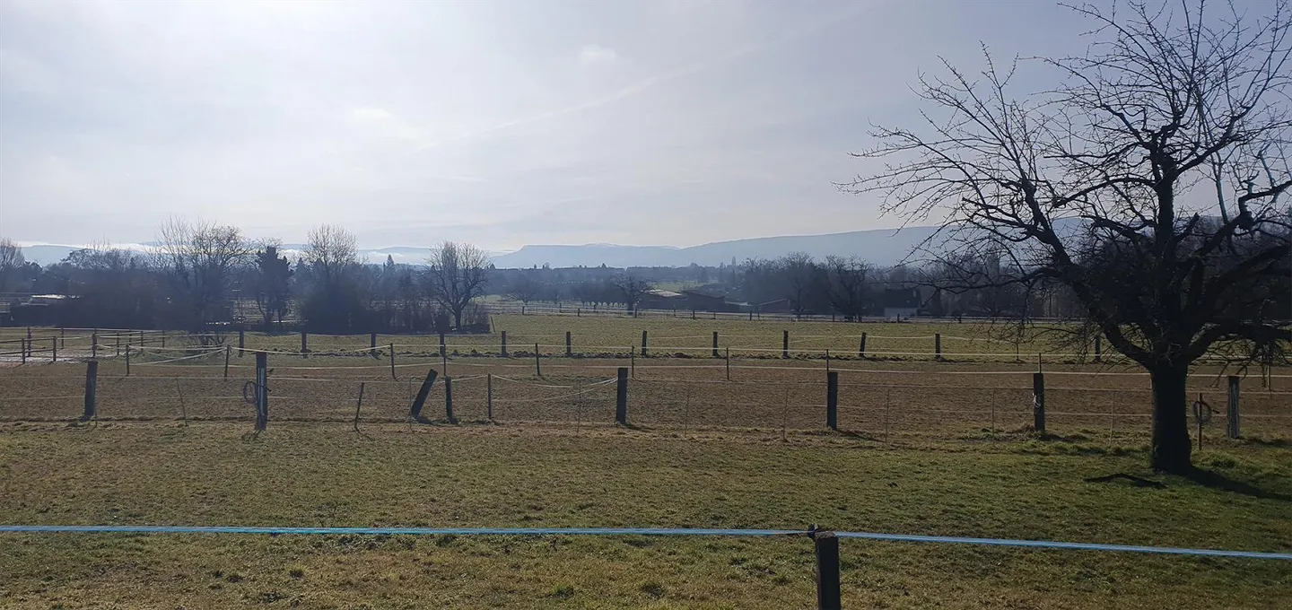 Idyllic 6.5 Room Single Family House with Large Garden in Binningen - Photo 23 of 23