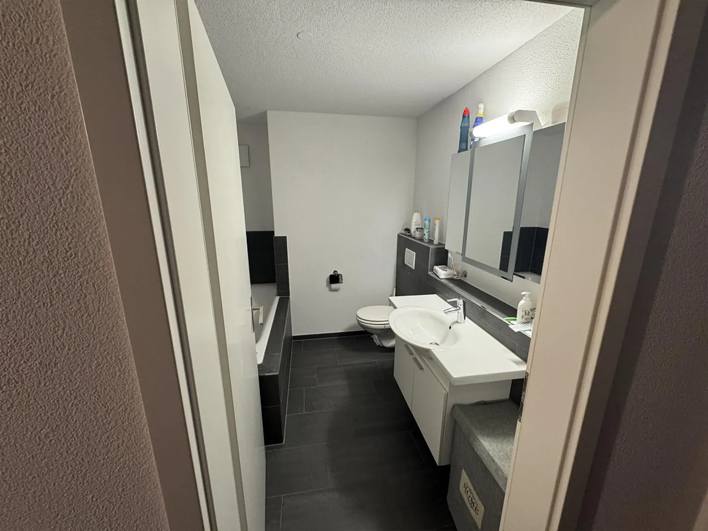 3 1/2 Room Apartment in Ownership Standard - Photo 9 of 10