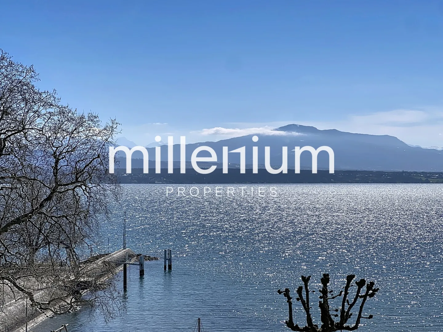 Magnificent duplex with stunning lake view in Nyon - Photo 1 of 10