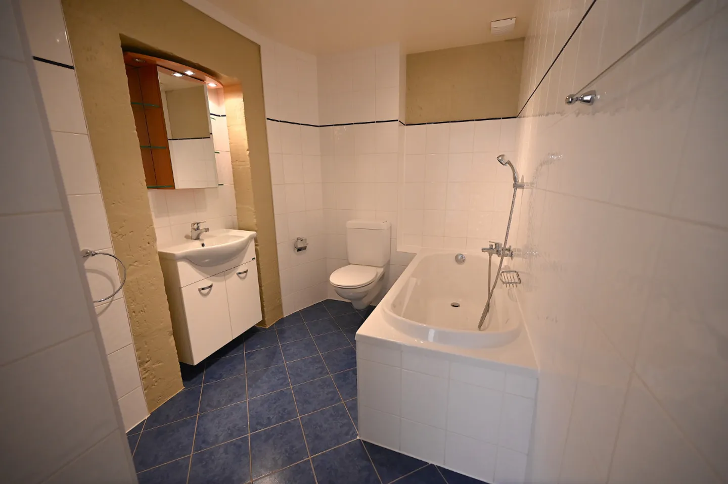 CELIGNY - CHARMING INCOME PROPERTY - Photo 7 of 11