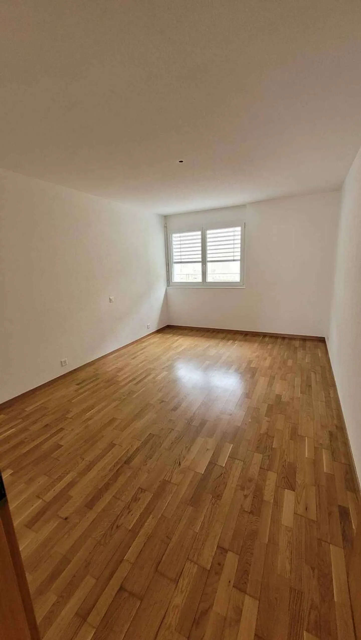 Charming Apartment with Terrace - Photo 4 of 4