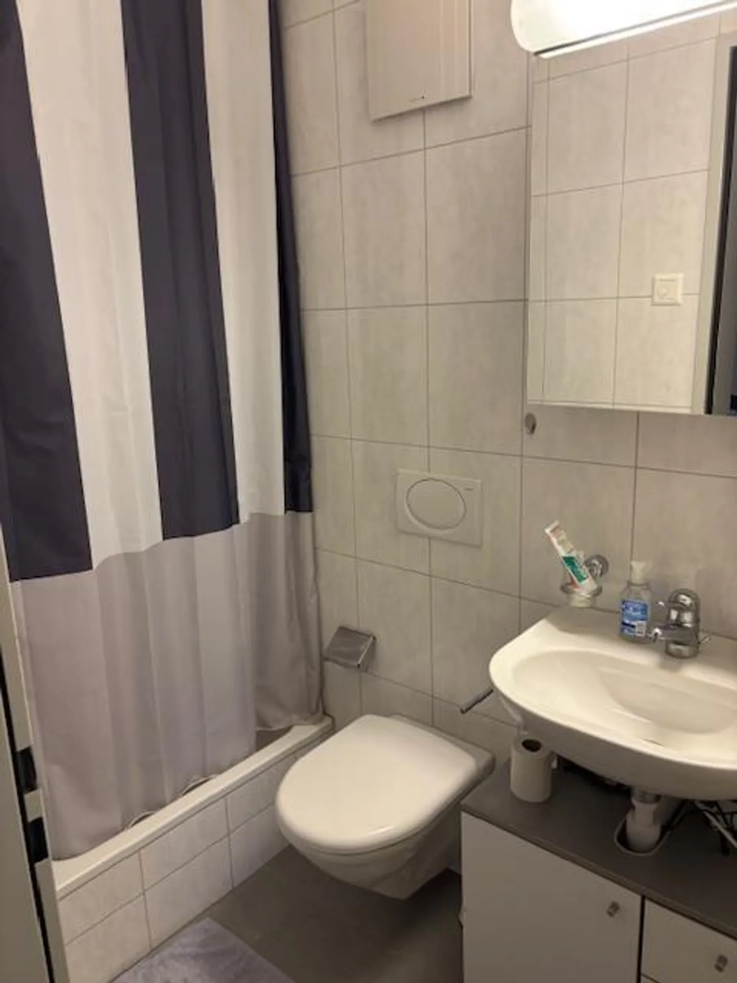 3.5 Room Apartment with View of City and Nature - Photo 7 of 7