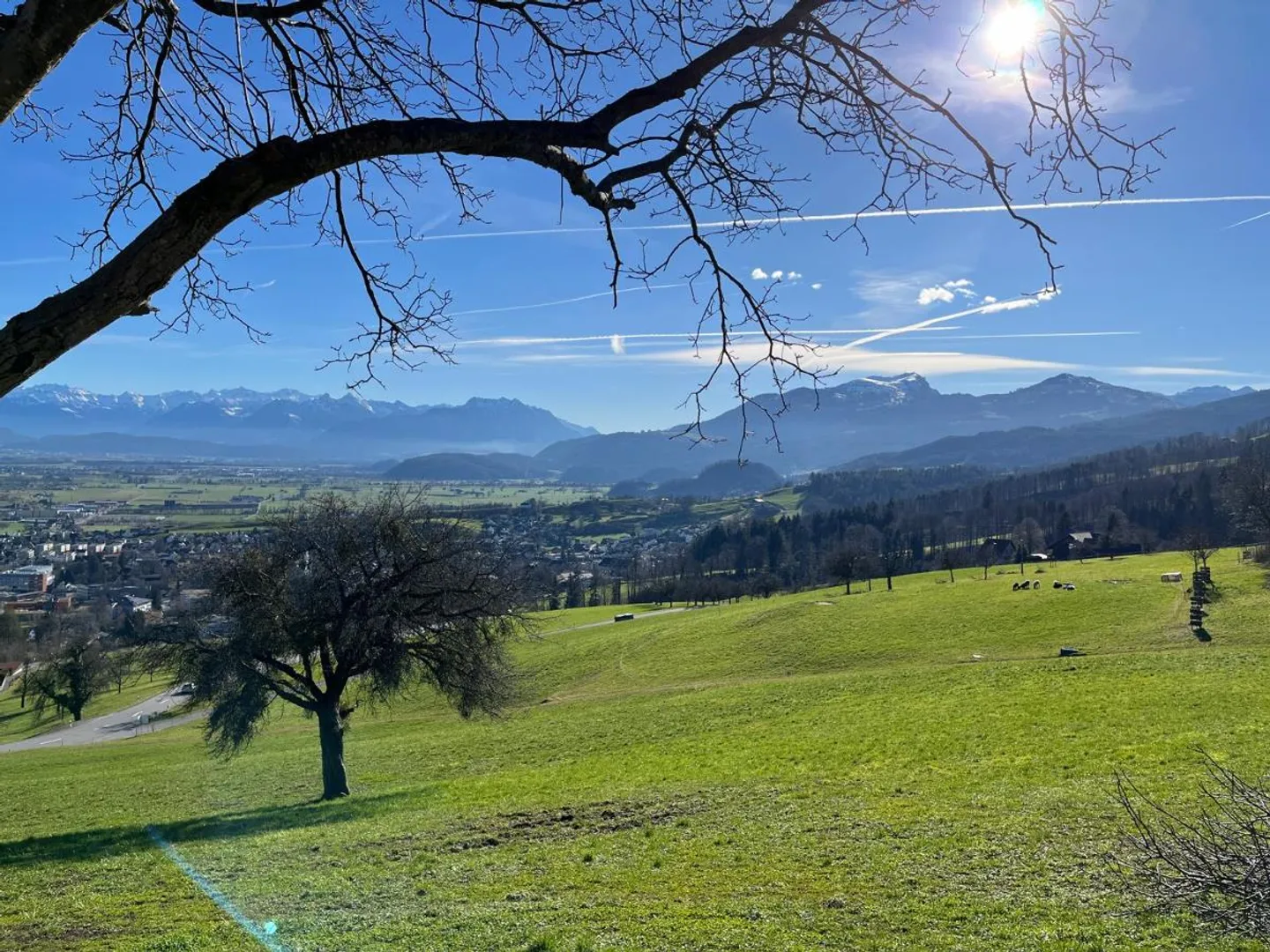 Fattoria in affitto - Foto 1 di 5