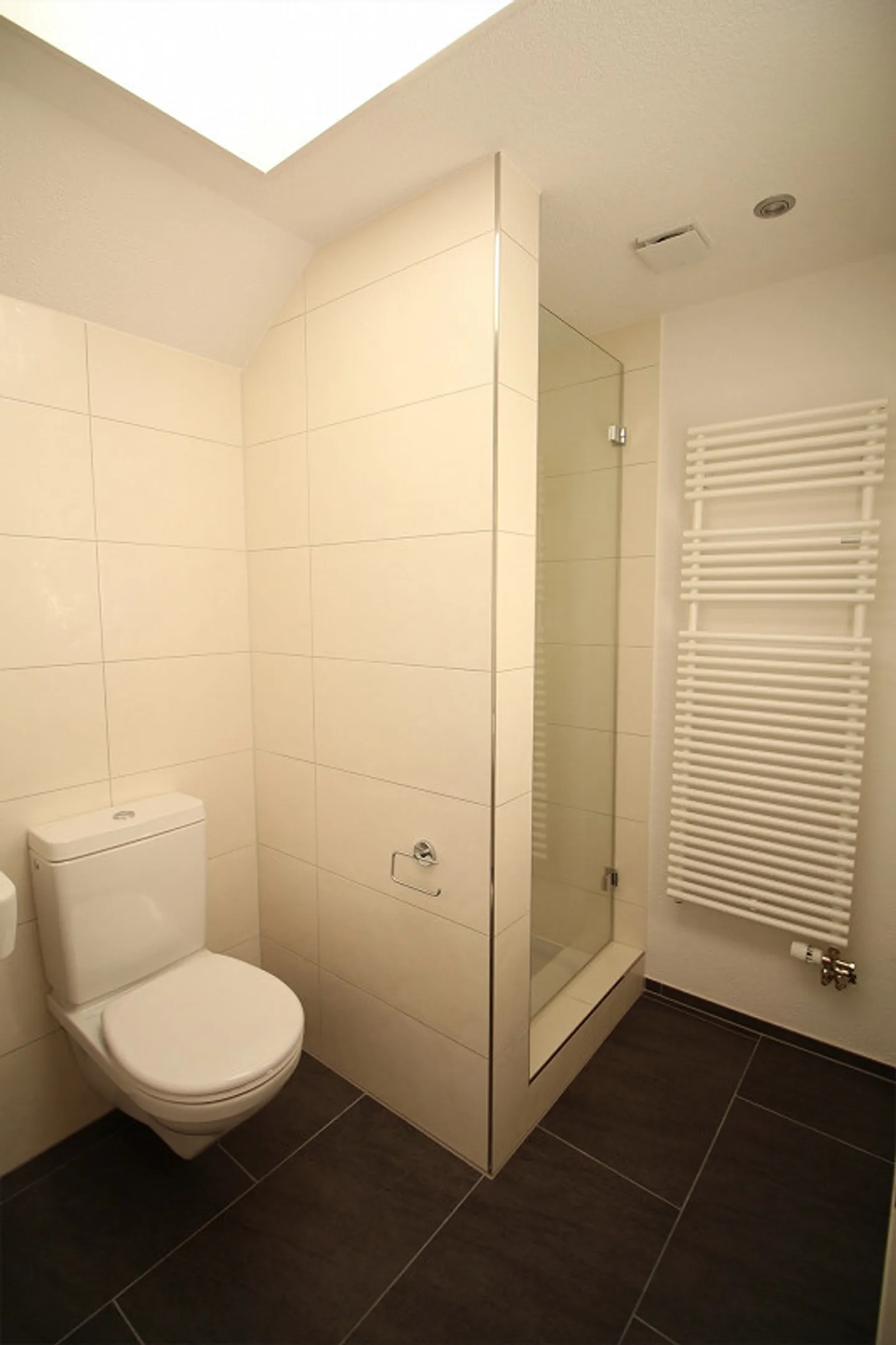 Appartamento mansardato, recentemente ristrutturato, grande e tranquillo, adiacente a Wil - Foto 14 di 17