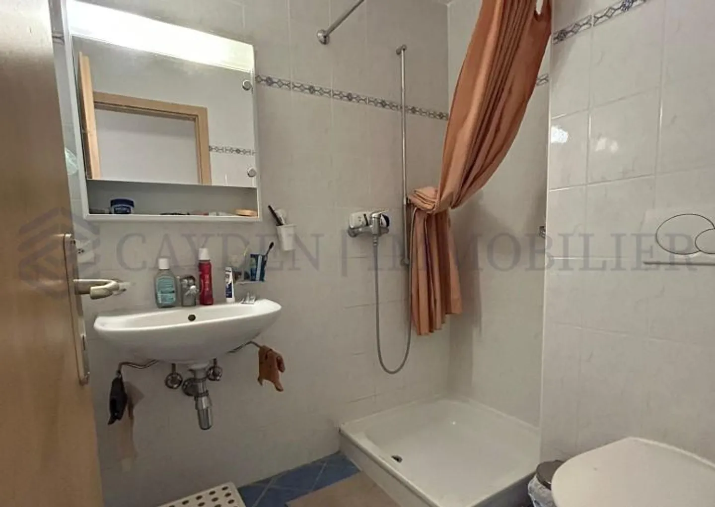 4.5 stanze a Nyon, subentro di affitto 1 febbraio 2026 - Foto 5 di 5